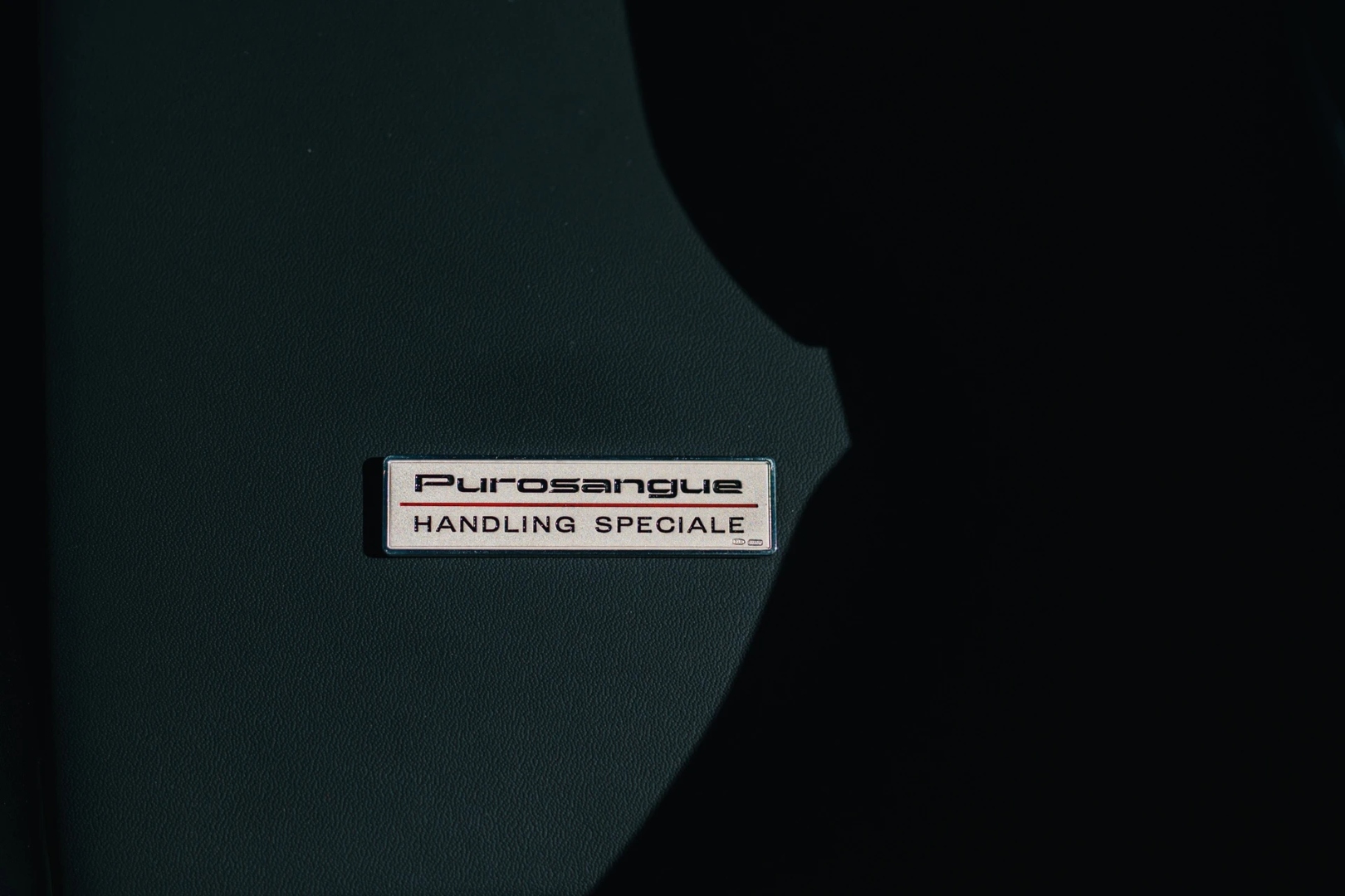 Ferrari_Purosangue_Handling_Speciale_14 (Large).jpeg