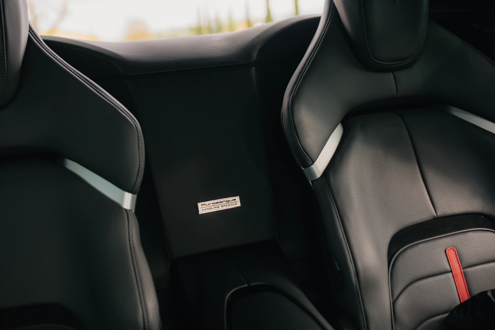 Ferrari_Purosangue_Handling_Speciale_16 (Large).jpeg