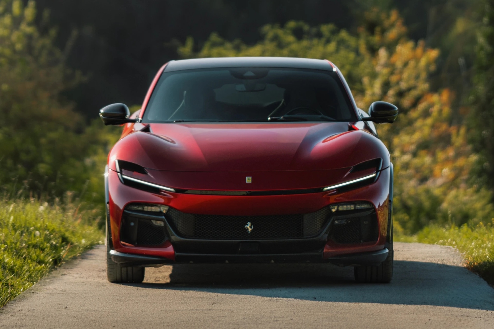 Ferrari_Purosangue_Handling_Speciale_3 (Large).jpeg