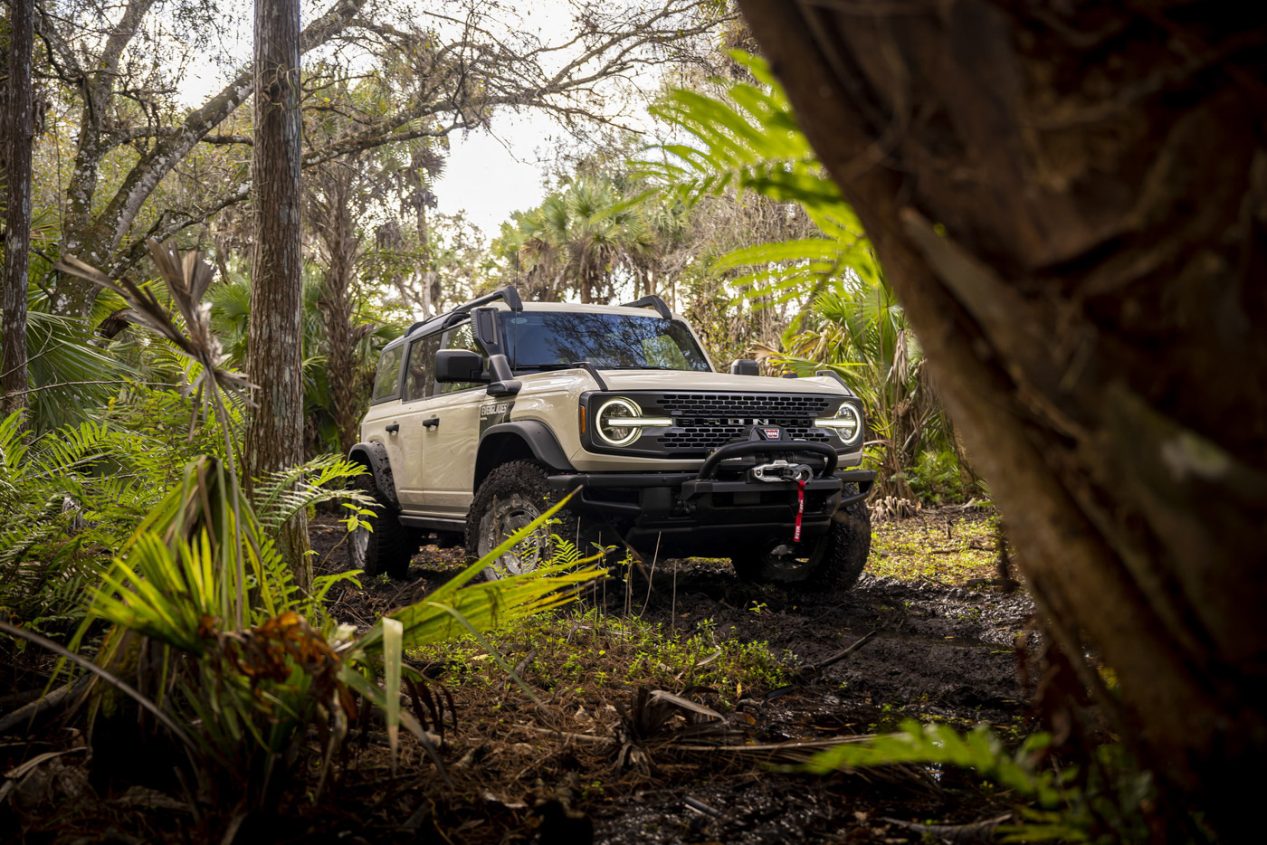 Ford Bronco Everglades (2).JPG