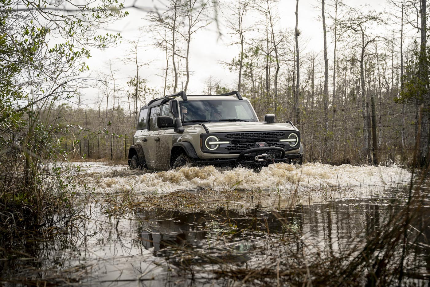 Ford Bronco Everglades (9).JPG