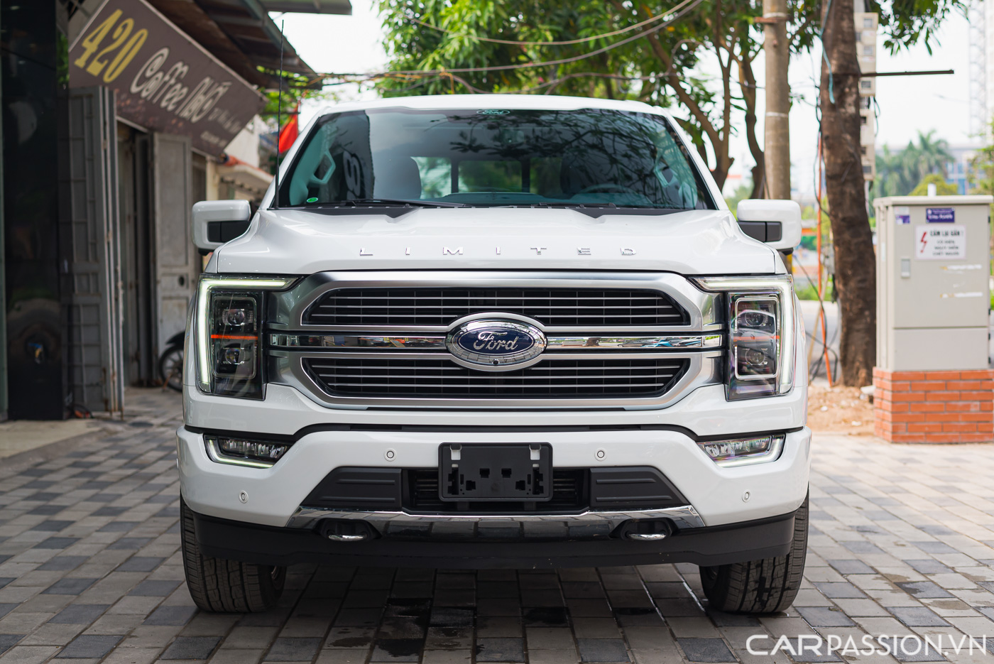 Ford F-150 Limited (22).JPG