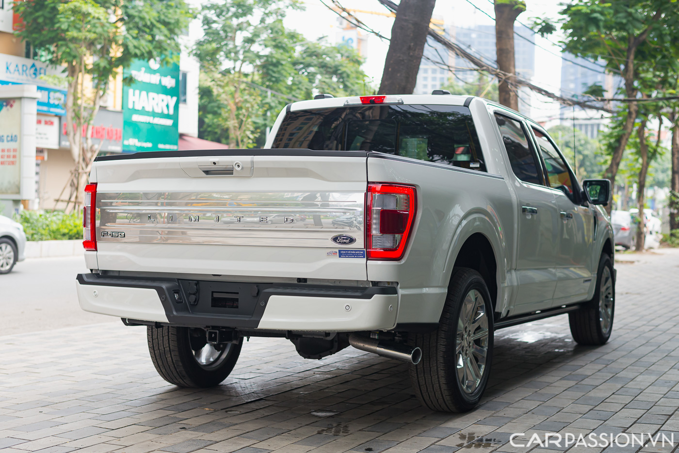 Ford F-150 Limited (8).JPG