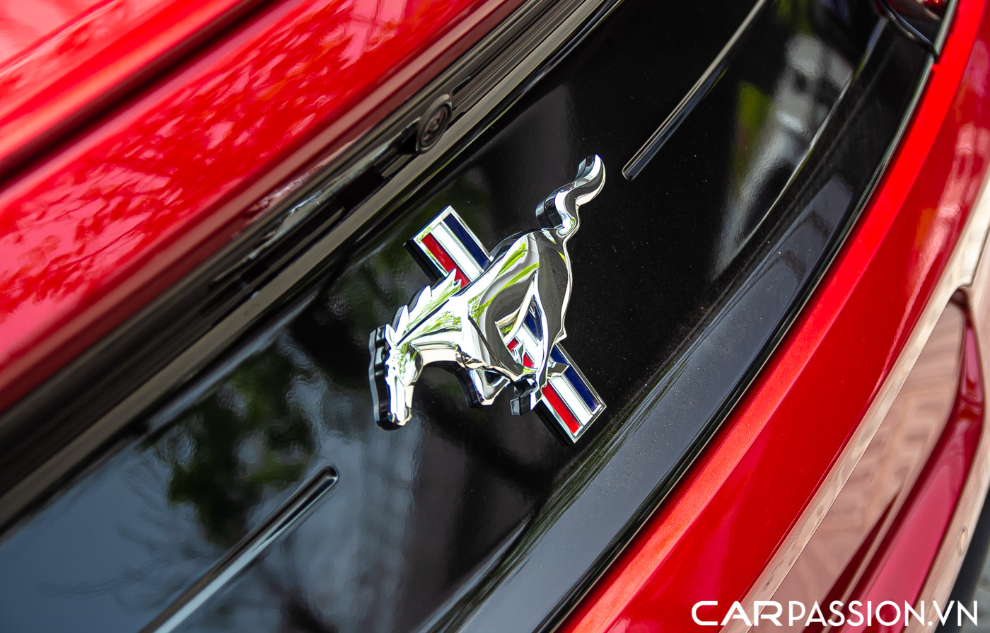 Ford Mustang (10).JPG