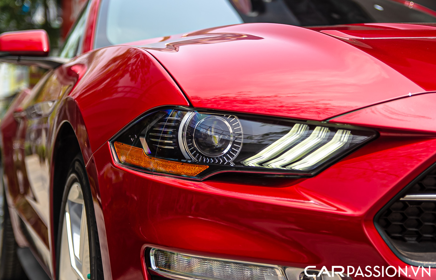 Ford Mustang (16).JPG