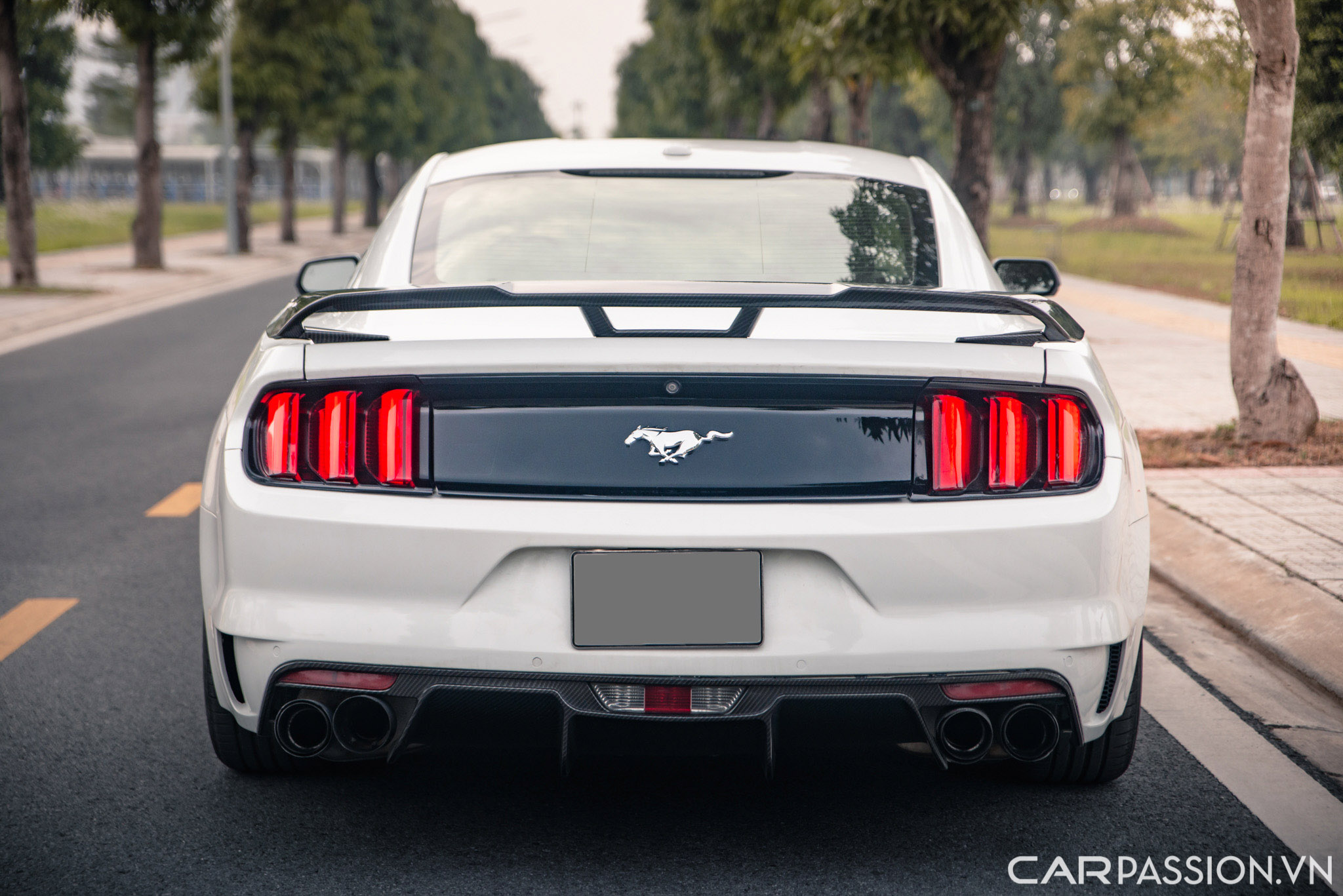 Ford Mustang (16).jpg