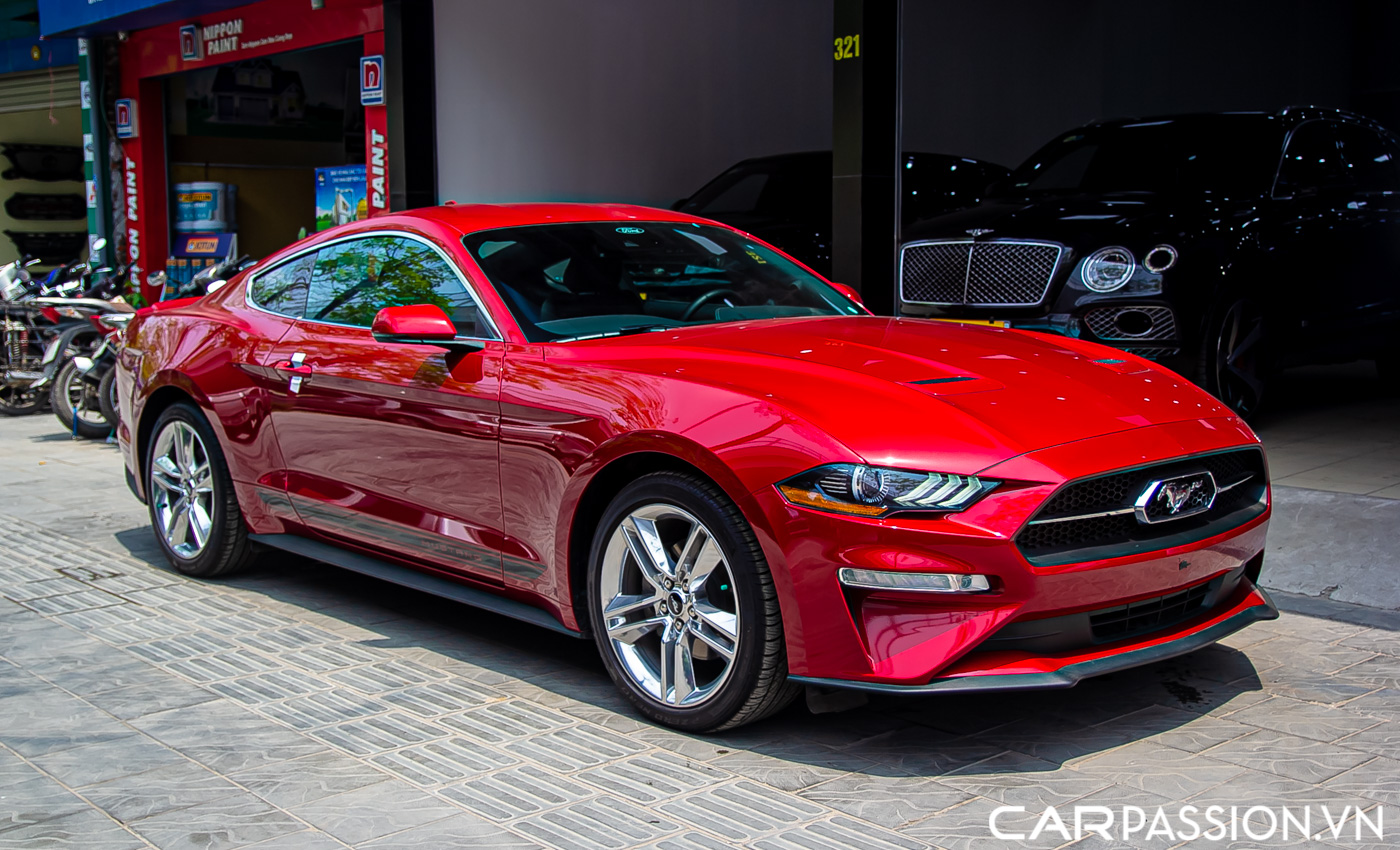 Ford Mustang (5).JPG