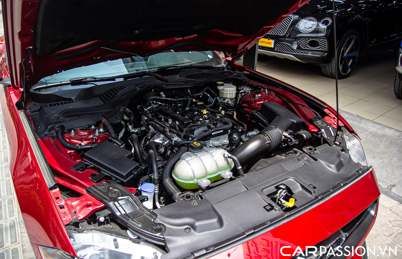 Ford Mustang (54).JPG