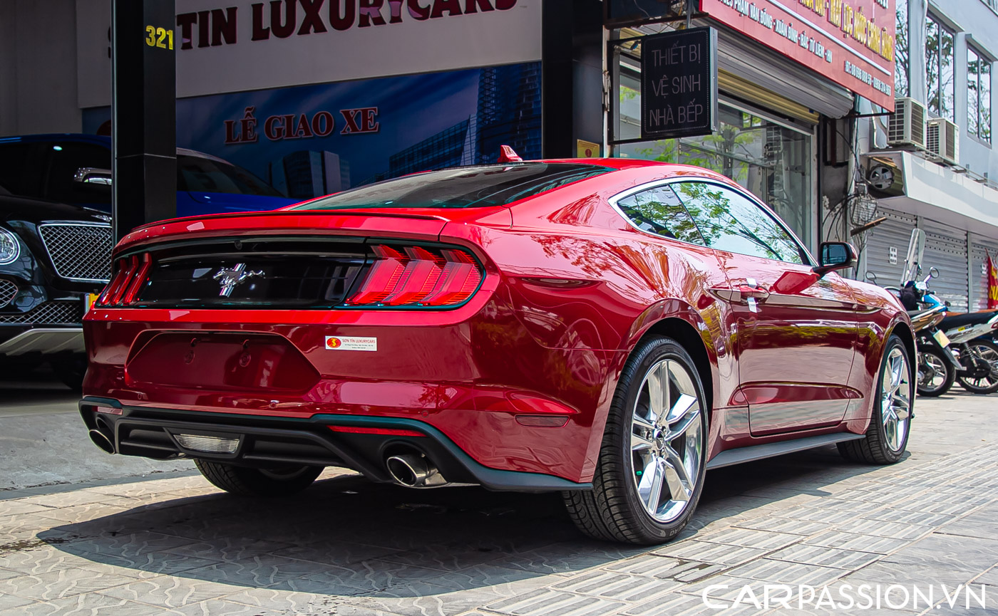 Ford Mustang (6).JPG