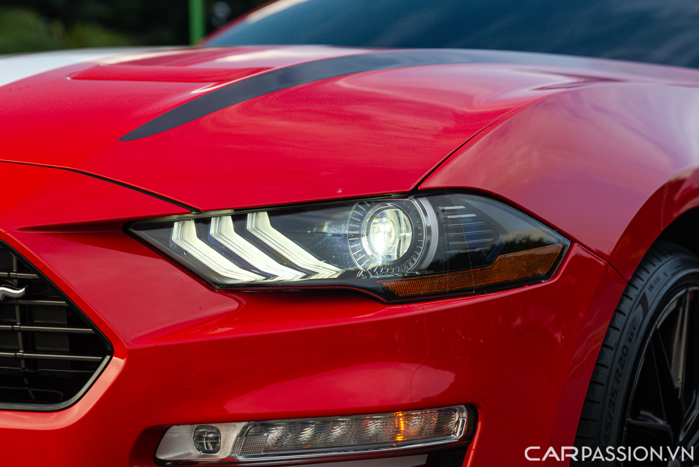 Ford Mustang High Performance (1).JPG