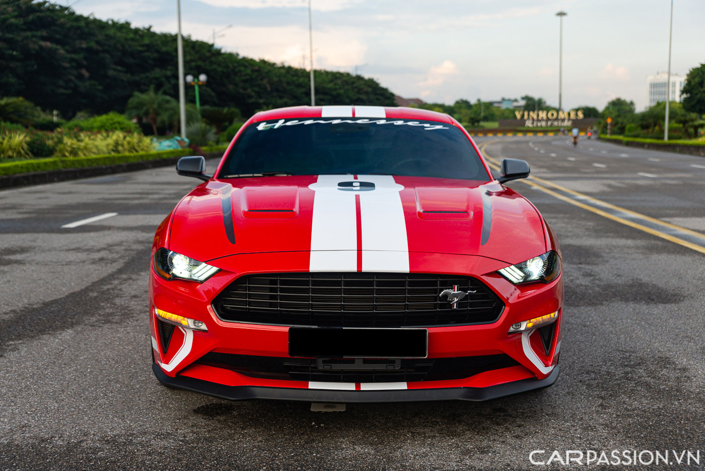 Ford Mustang High Performance (10).JPG