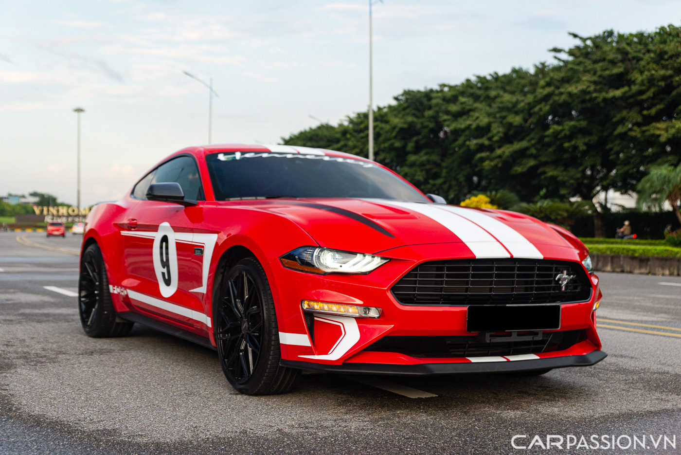 Ford Mustang High Performance (11).JPG