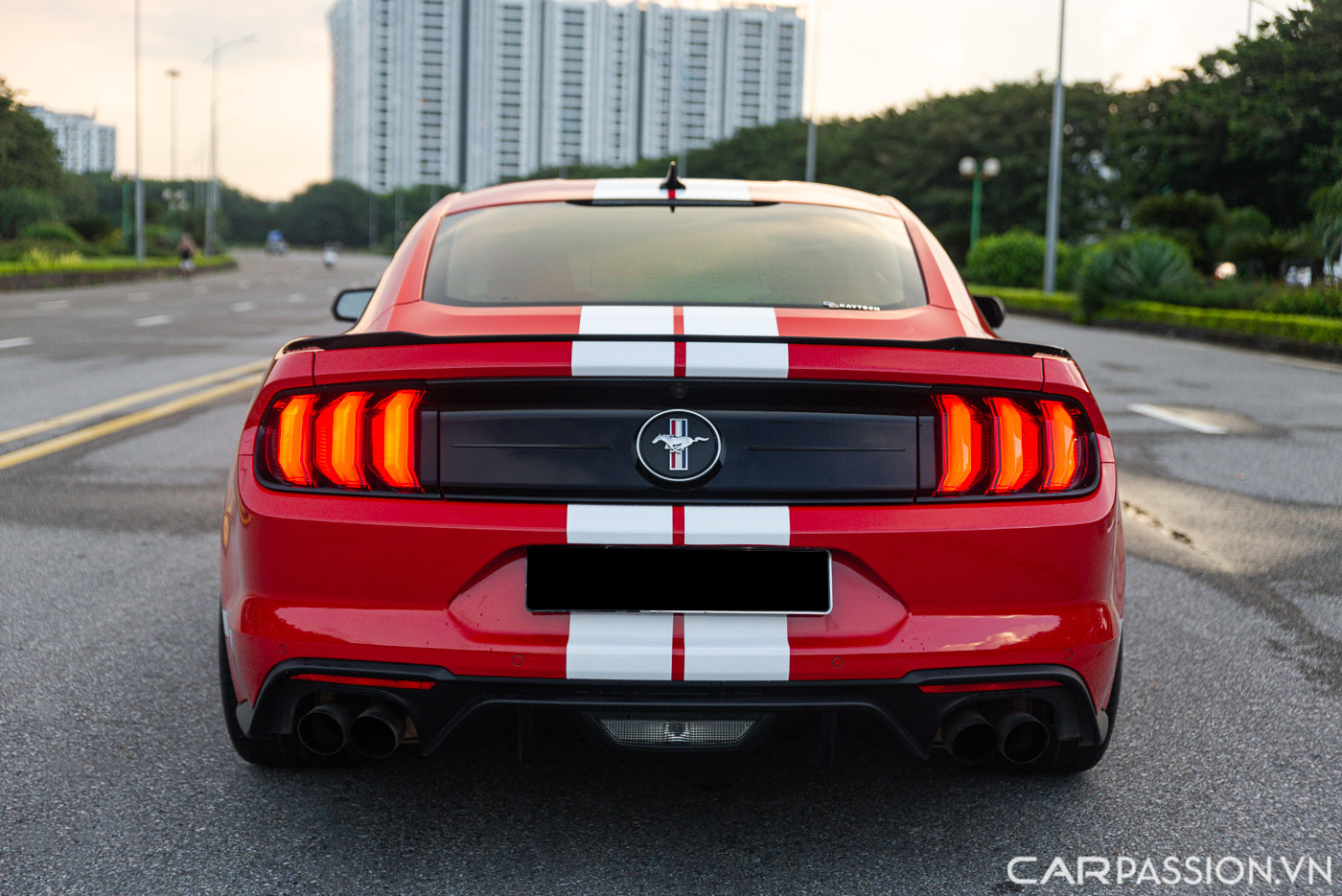 Ford Mustang High Performance (14).JPG