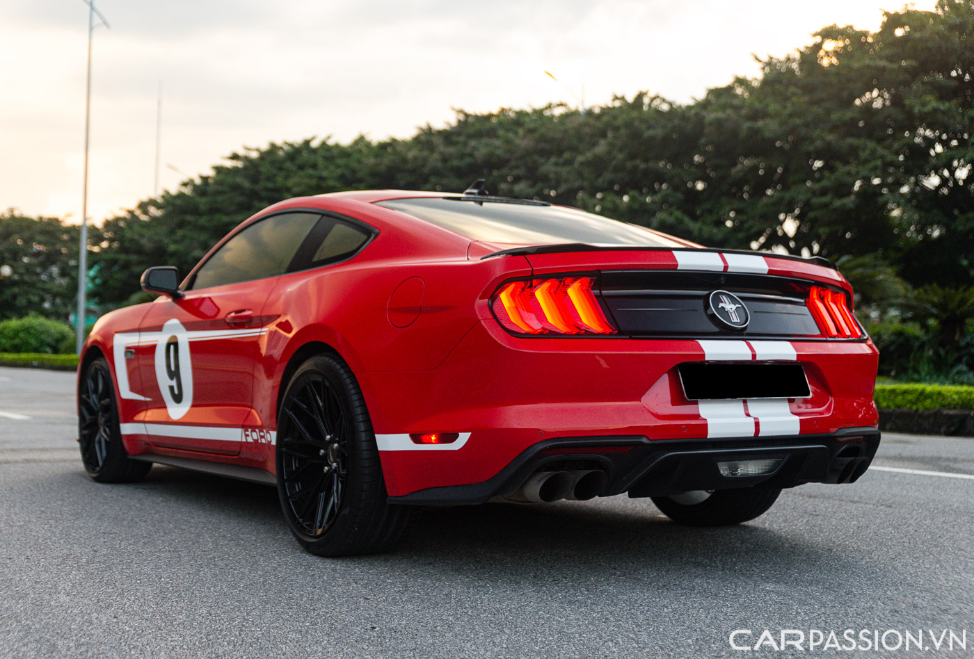 Ford Mustang High Performance (19).JPG