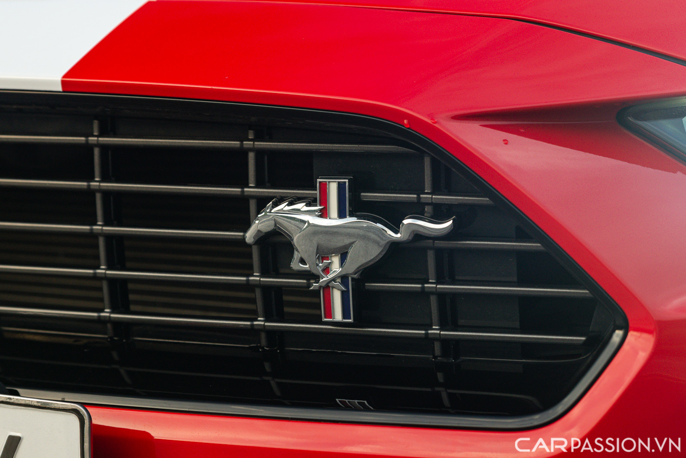 Ford Mustang High Performance (2).JPG