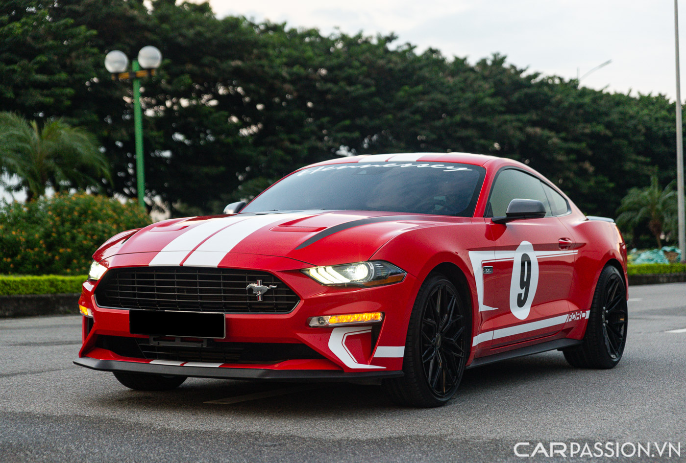 Ford Mustang High Performance (20).JPG
