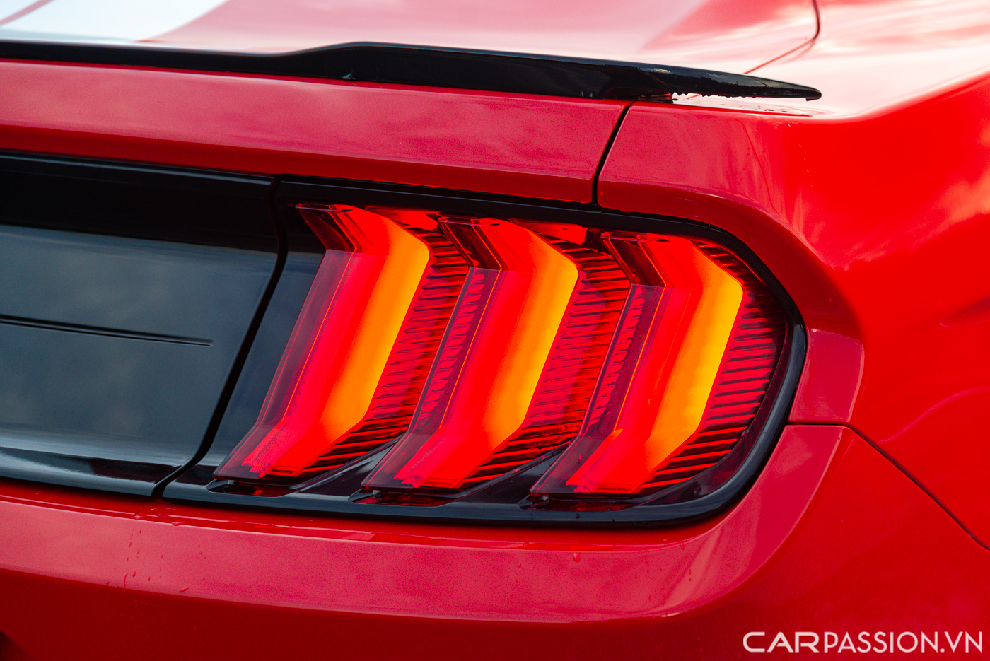 Ford Mustang High Performance (7).JPG