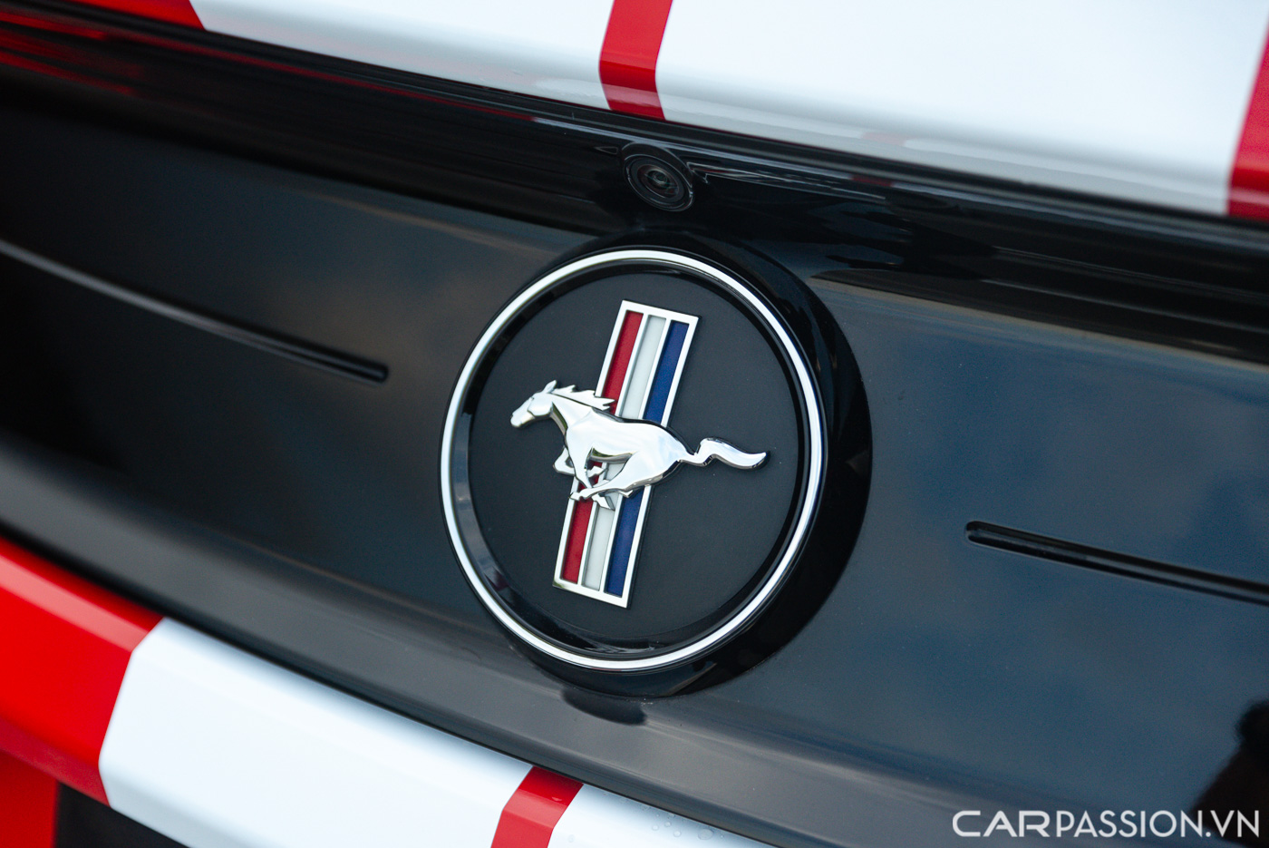Ford Mustang High Performance (8).JPG