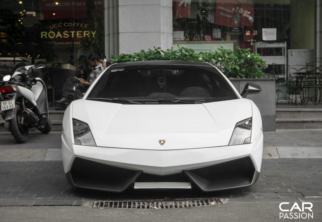 galardo (4).jpg