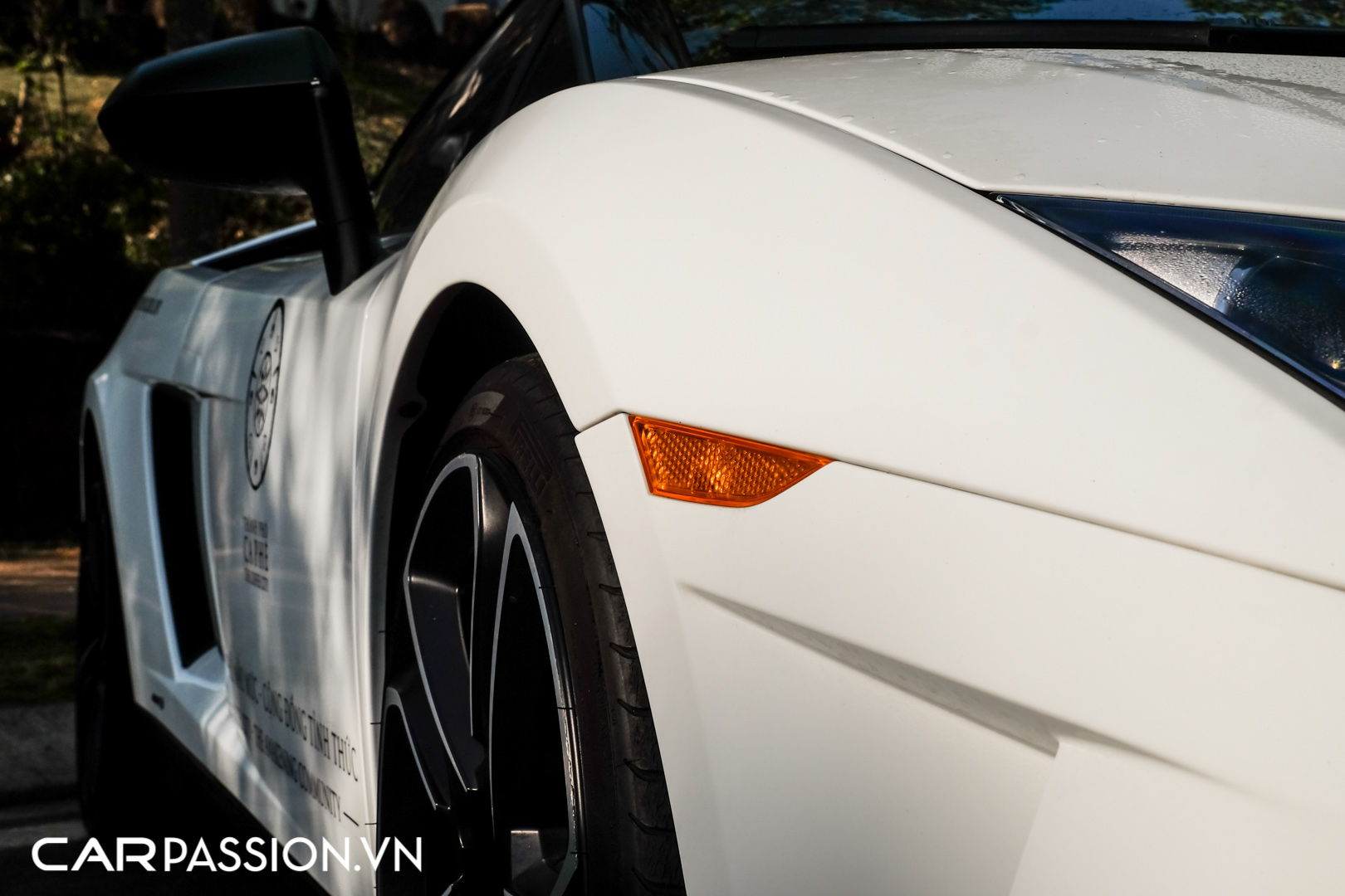 Gallardo Spyder LP560-4 (16).JPG