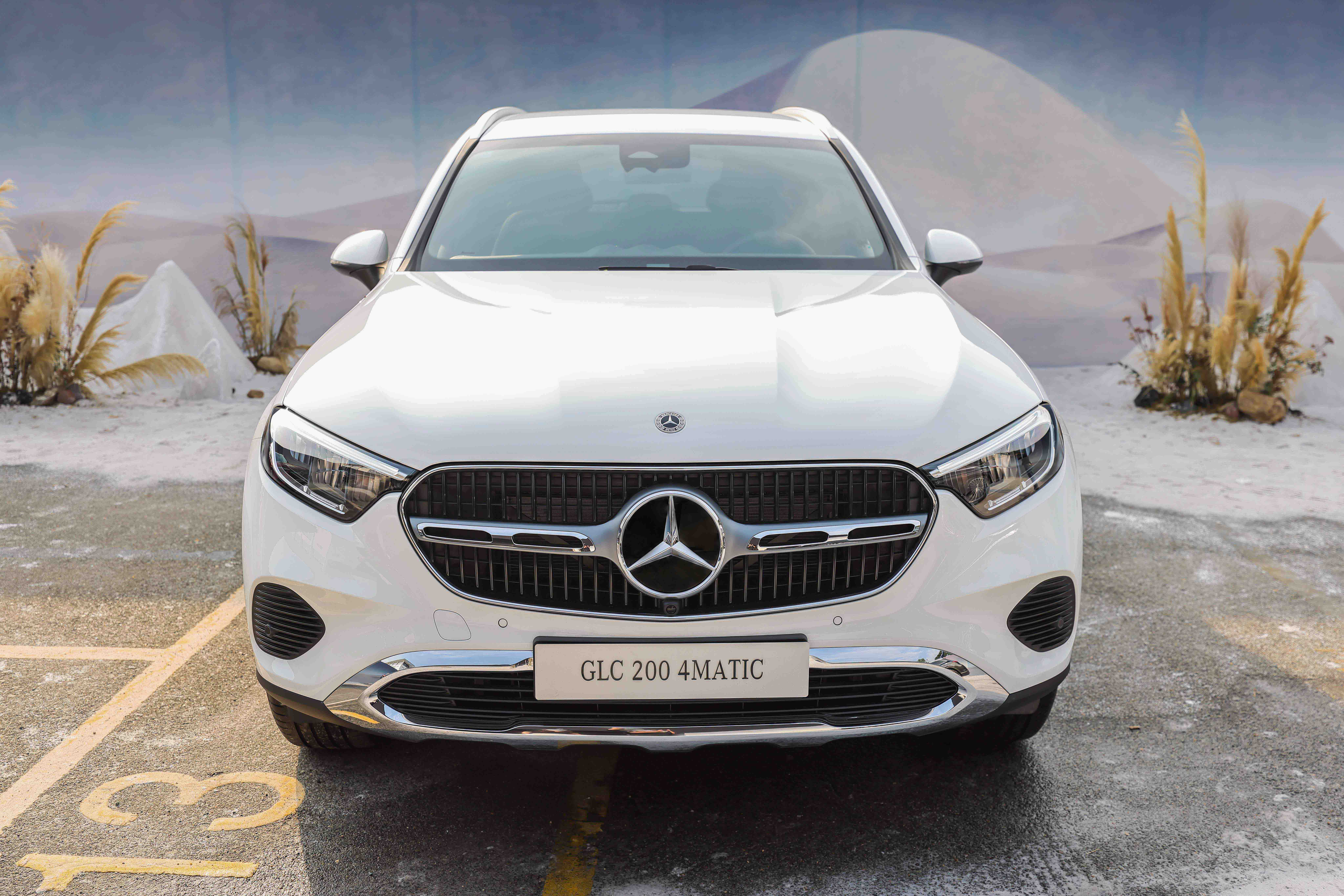 glc-200-anh-_8.JPG