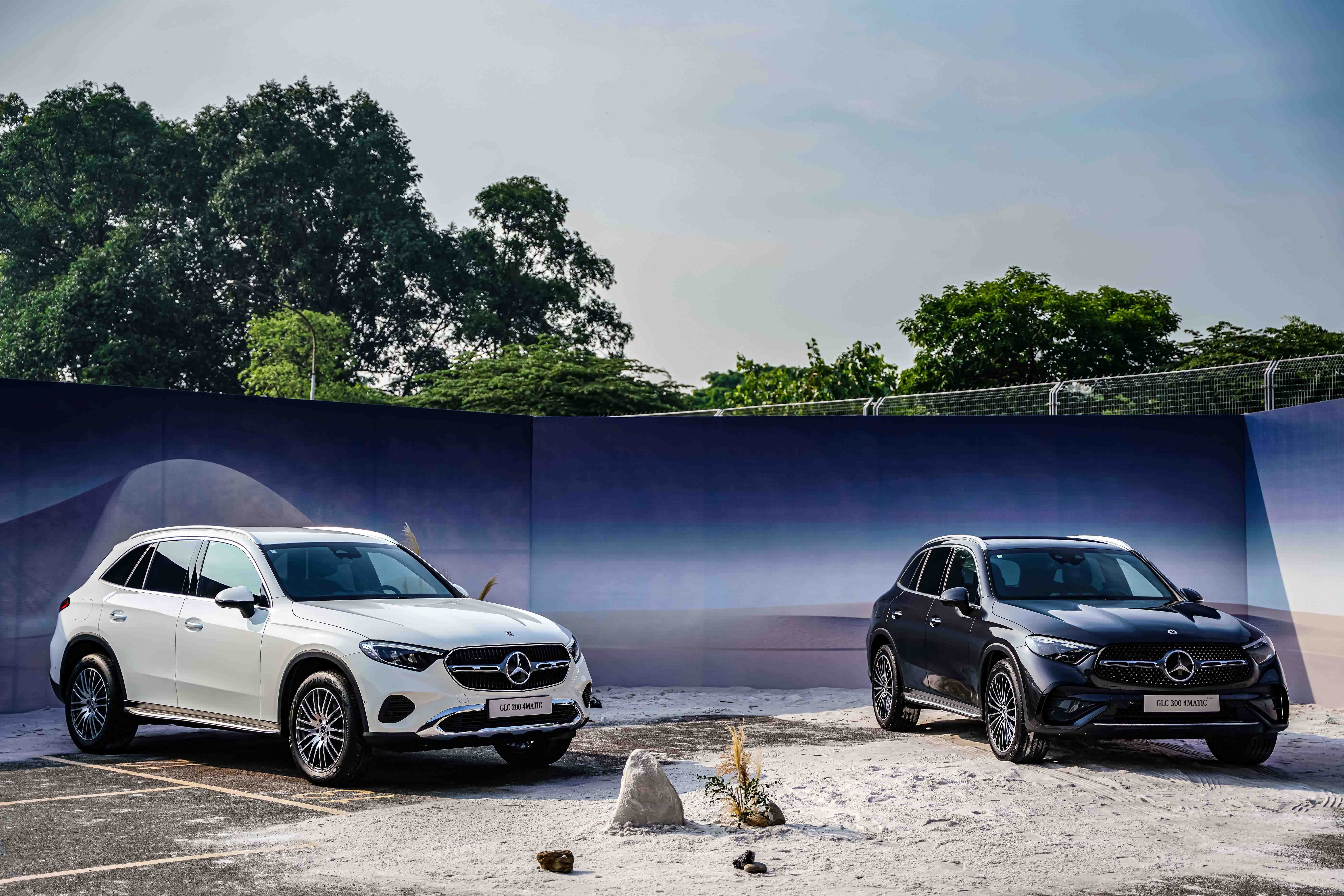 glc-300-anh-_15.JPG