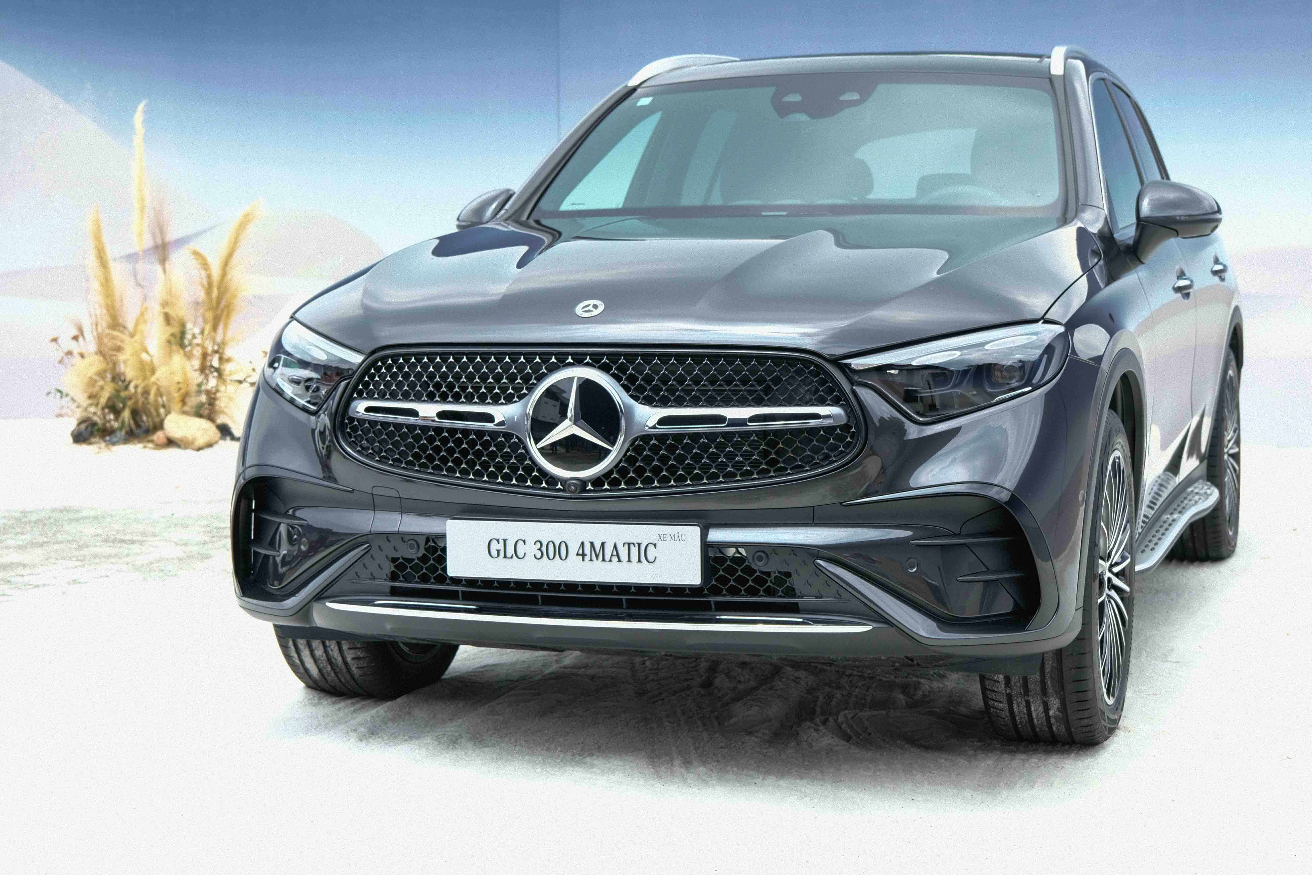 glc300-anh-2.JPG