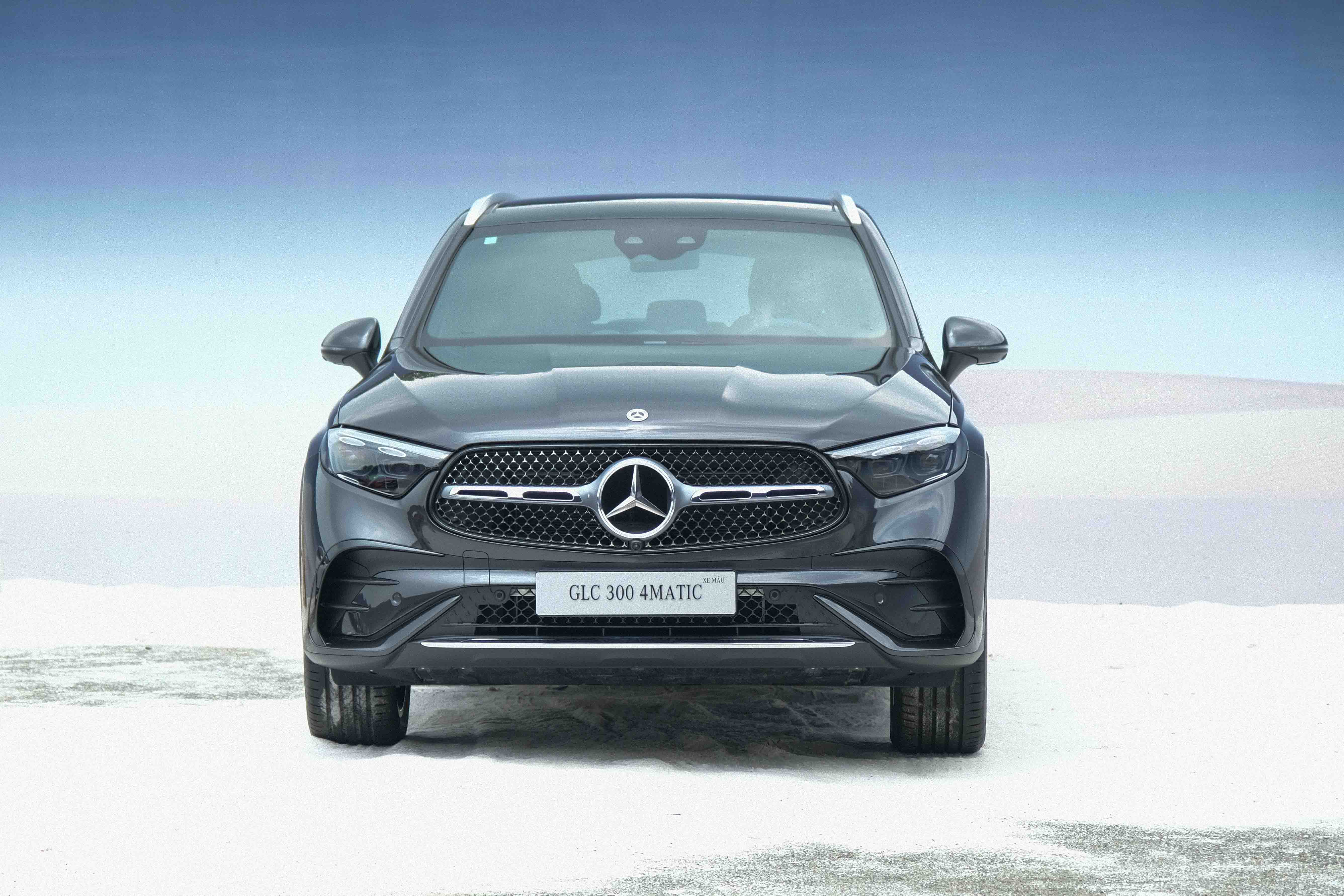 glc300-anh-4.JPG