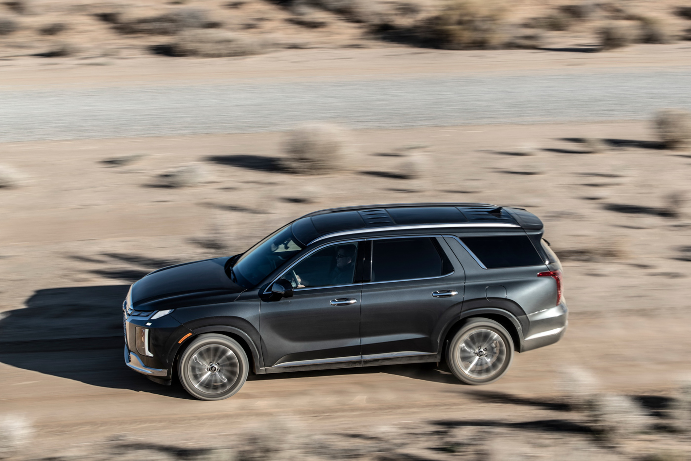 Hyundai Palisade (10).JPG