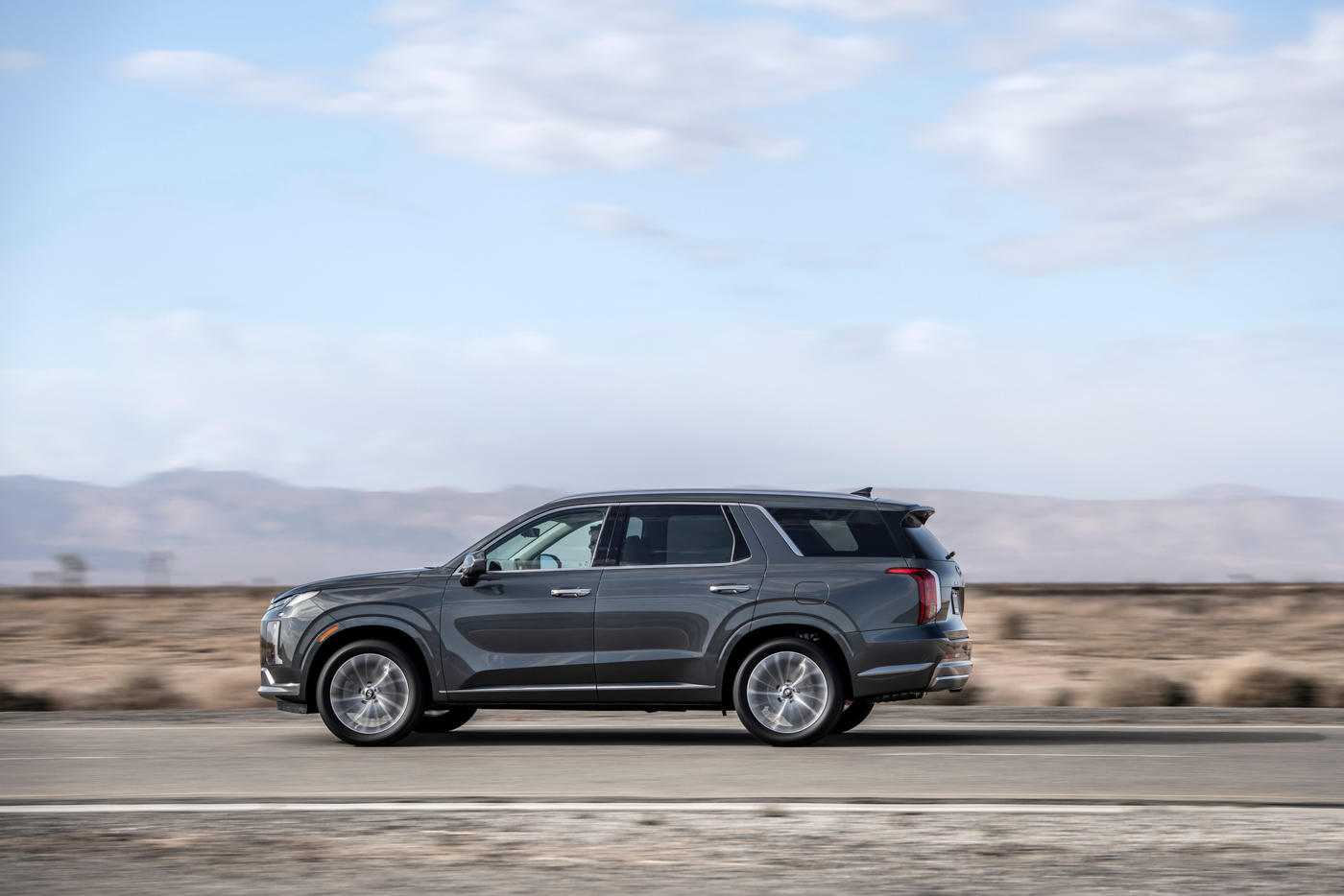 Hyundai Palisade (11).JPG