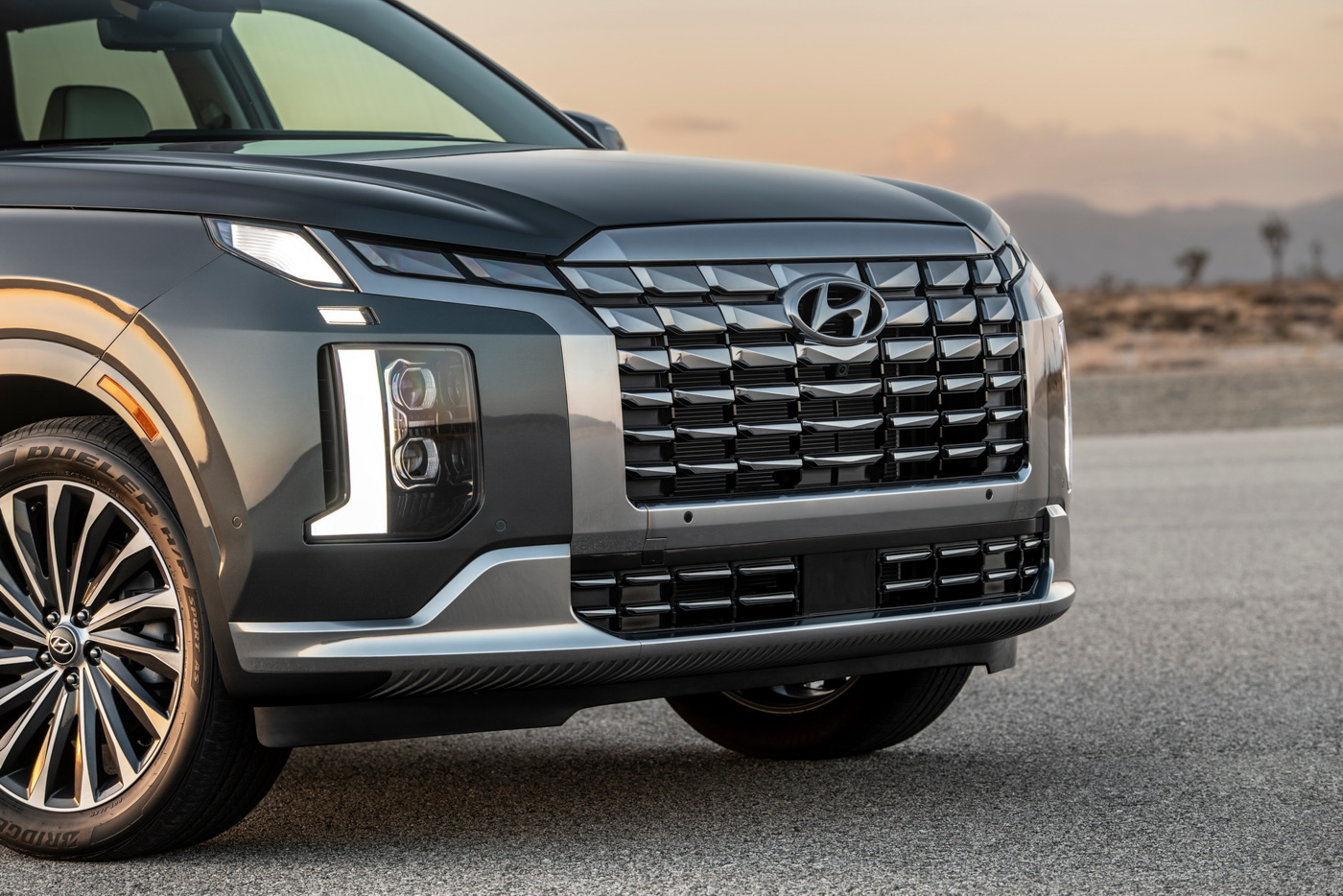 Hyundai Palisade (12).JPG