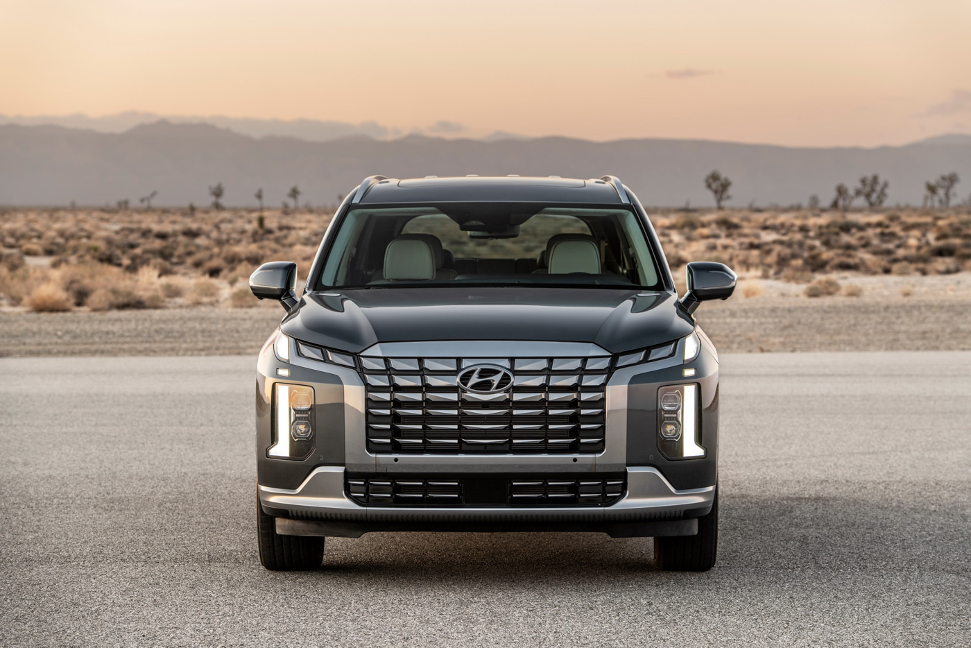 Hyundai Palisade (2).JPG