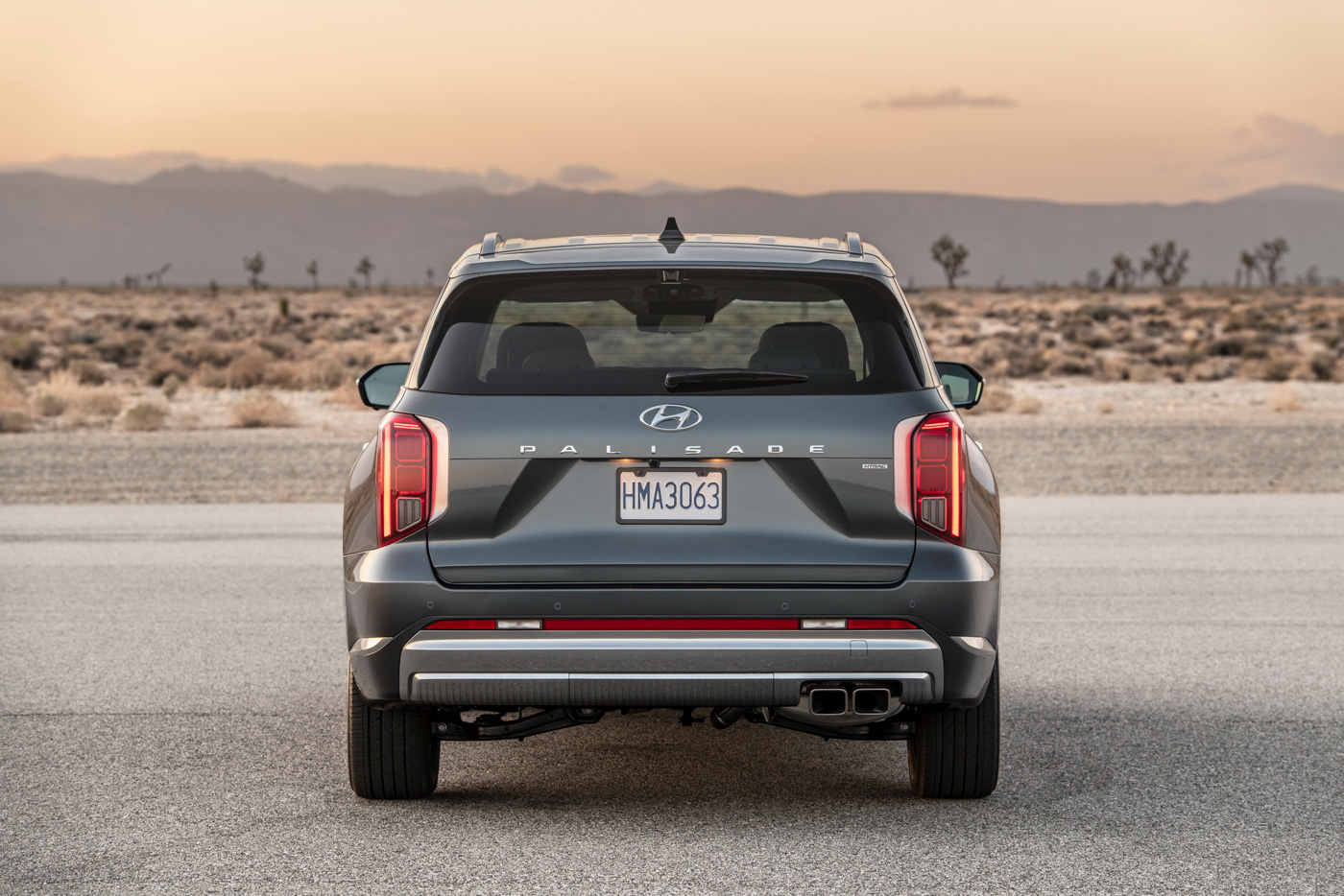 Hyundai Palisade (3).JPG