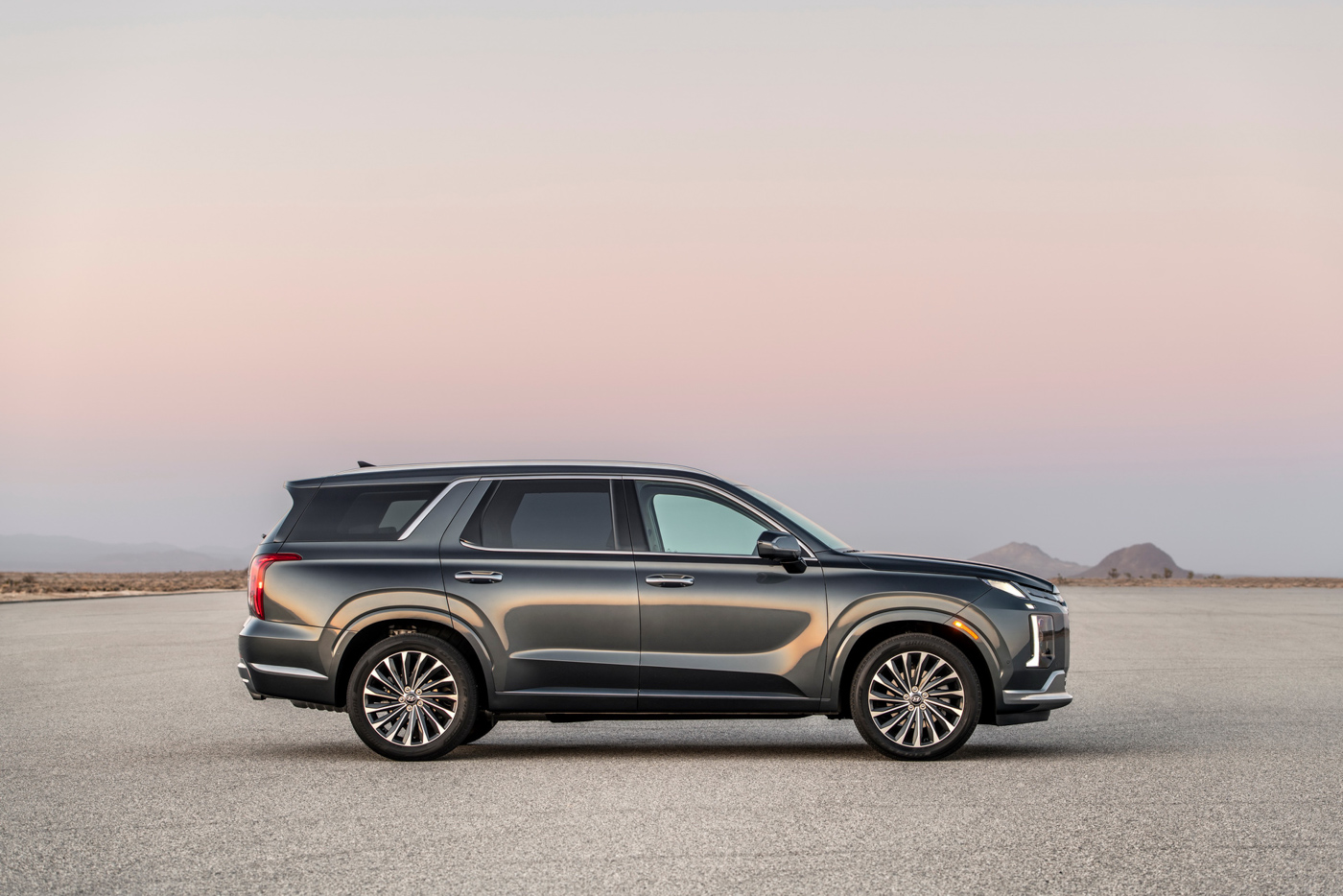 Hyundai Palisade (4).JPG