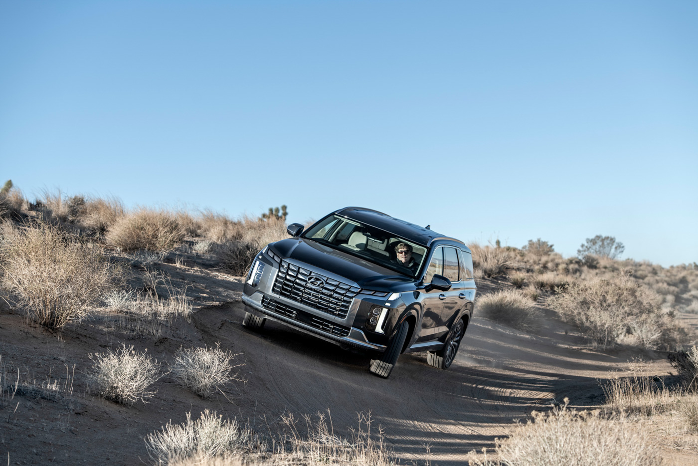 Hyundai Palisade (5).JPG