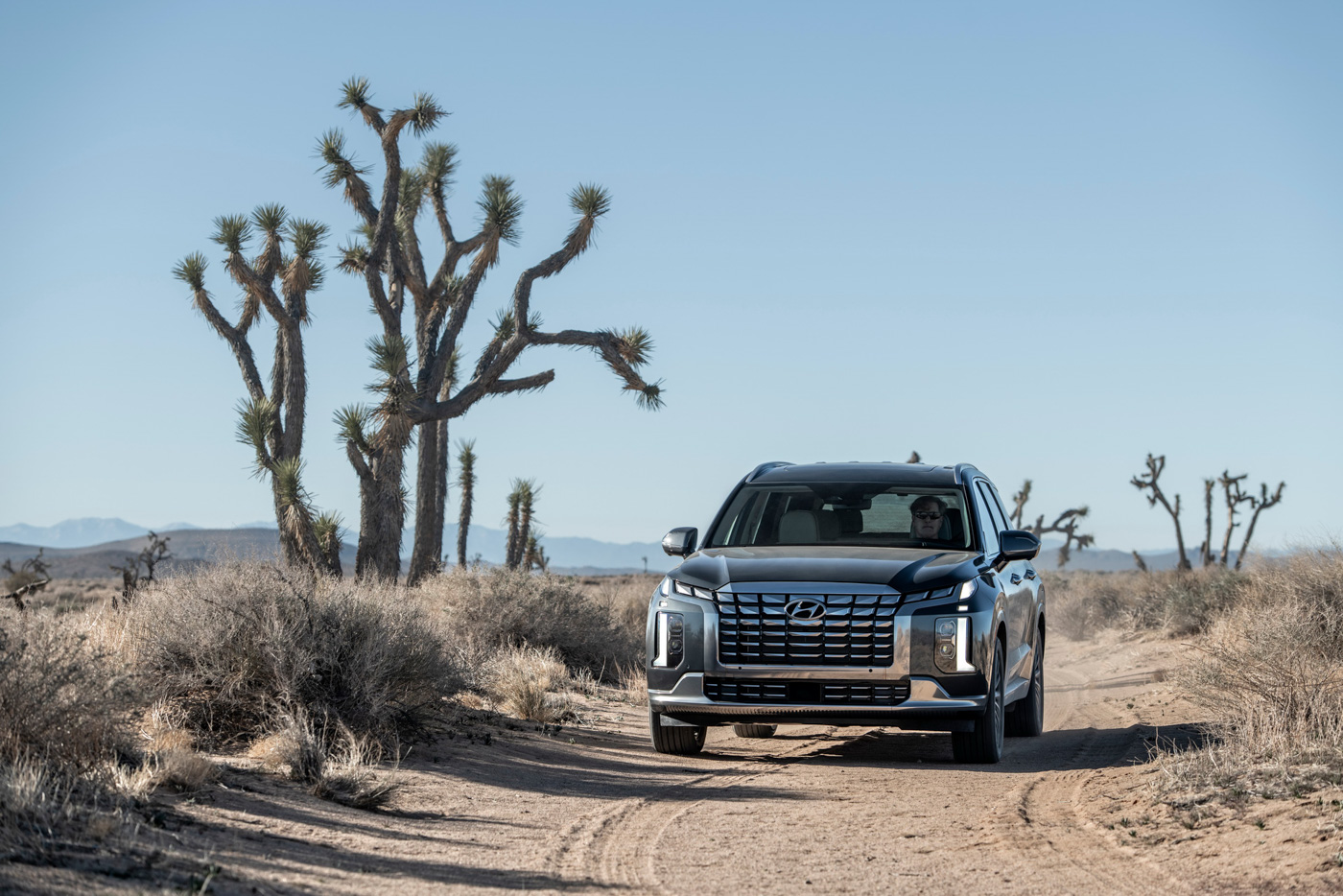 Hyundai Palisade (6).JPG