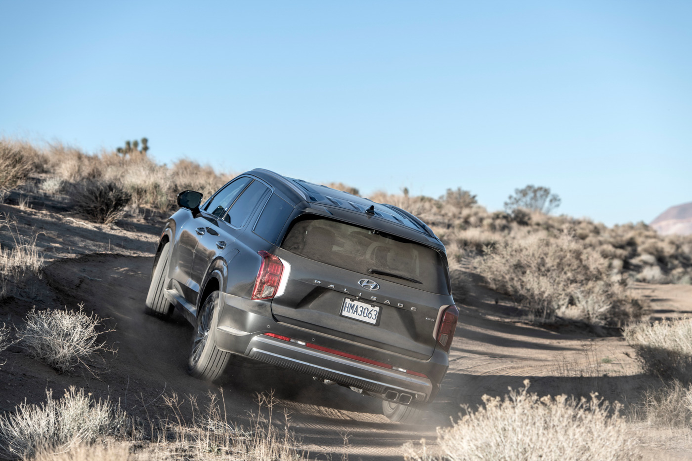 Hyundai Palisade (8).JPG