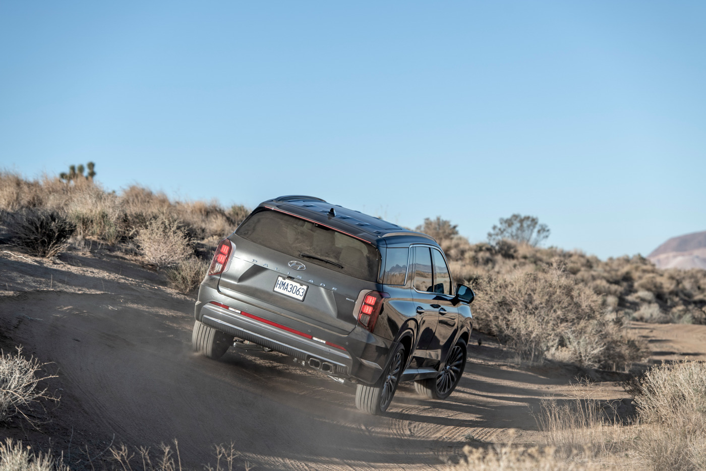 Hyundai Palisade (9).JPG