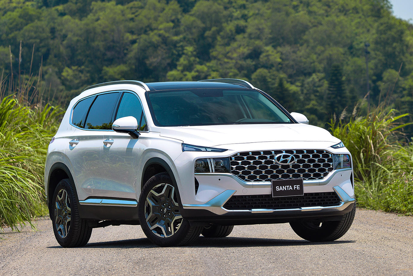 Hyundai Santa Fe 0077.jpg
