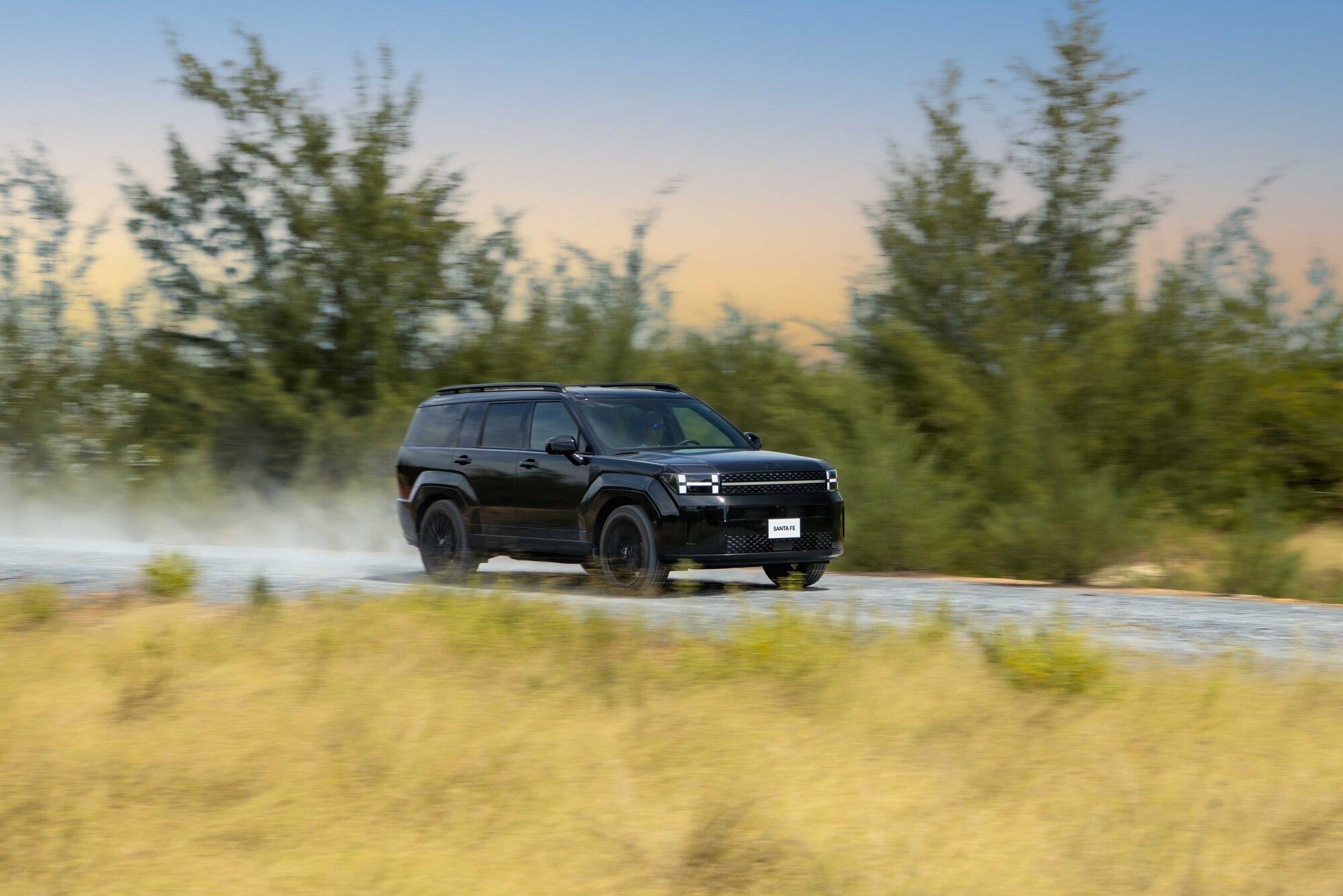 Hyundai Santa Fe.jpeg
