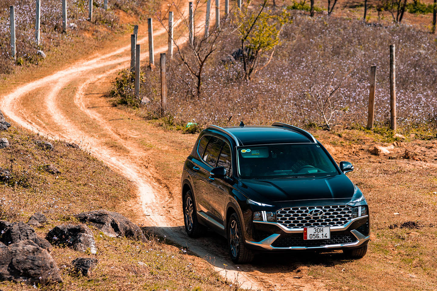 Hyundai Santa Fe.jpg