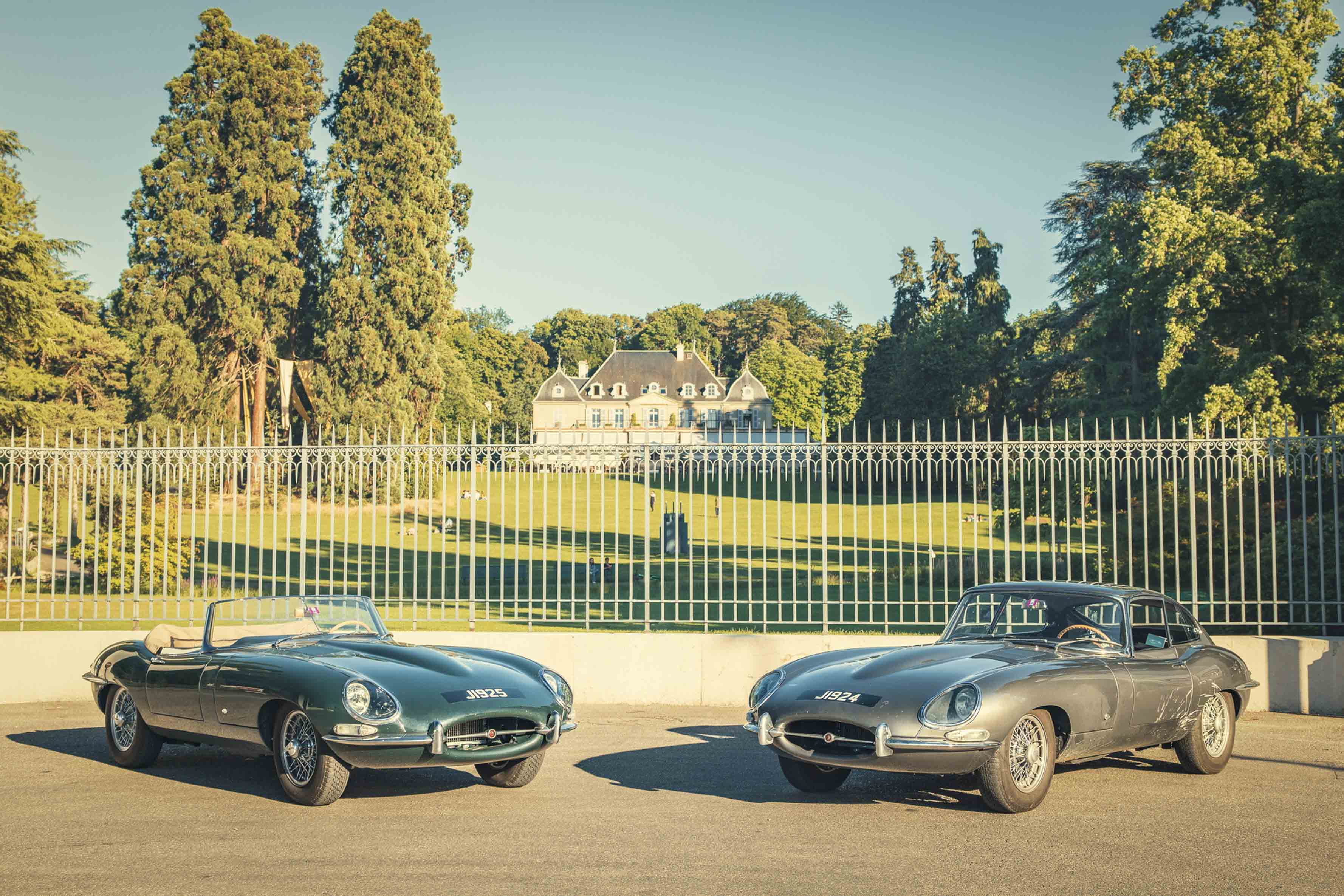 Jaguar Edition 60 (13).JPG
