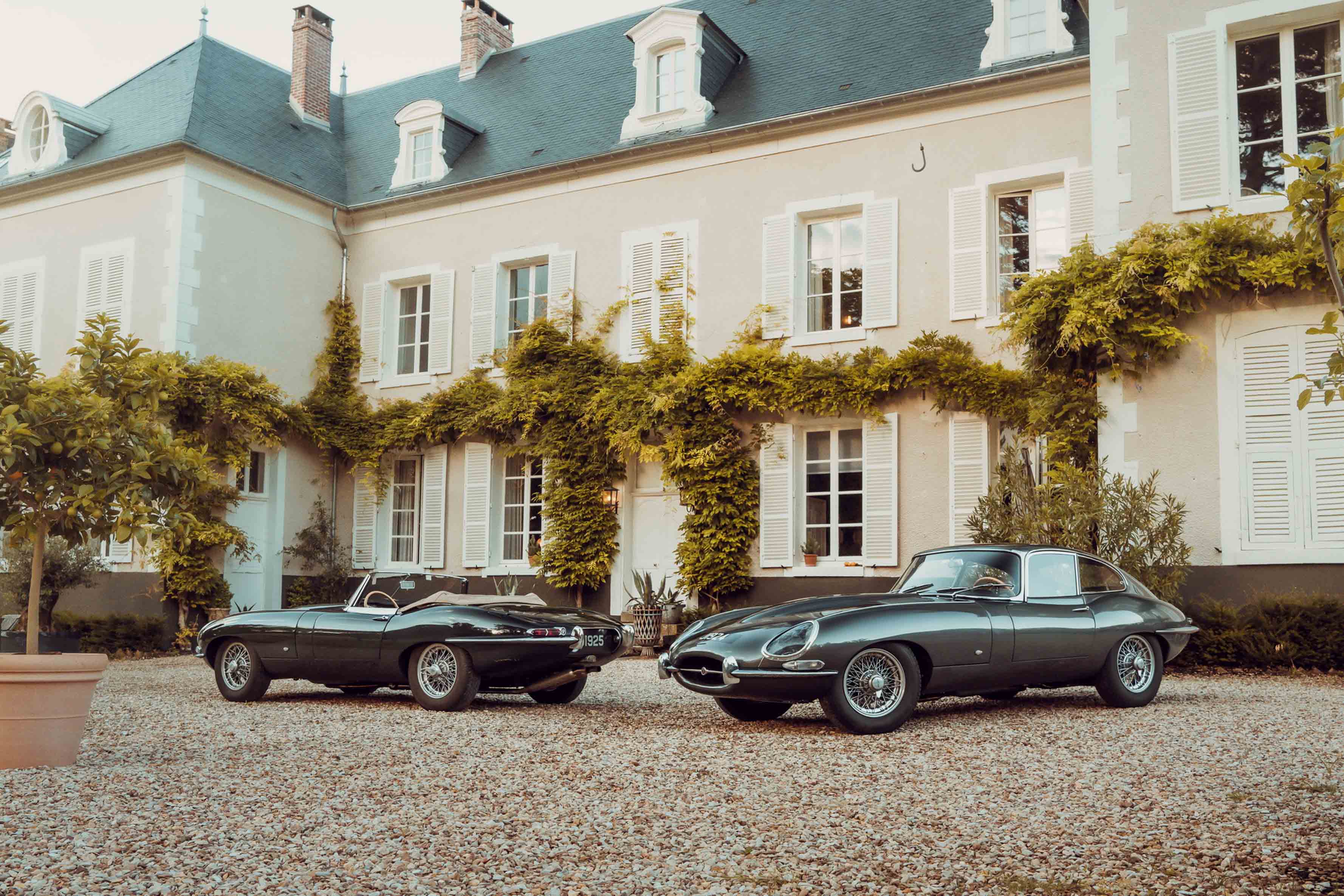Jaguar Edition 60 (2).JPG