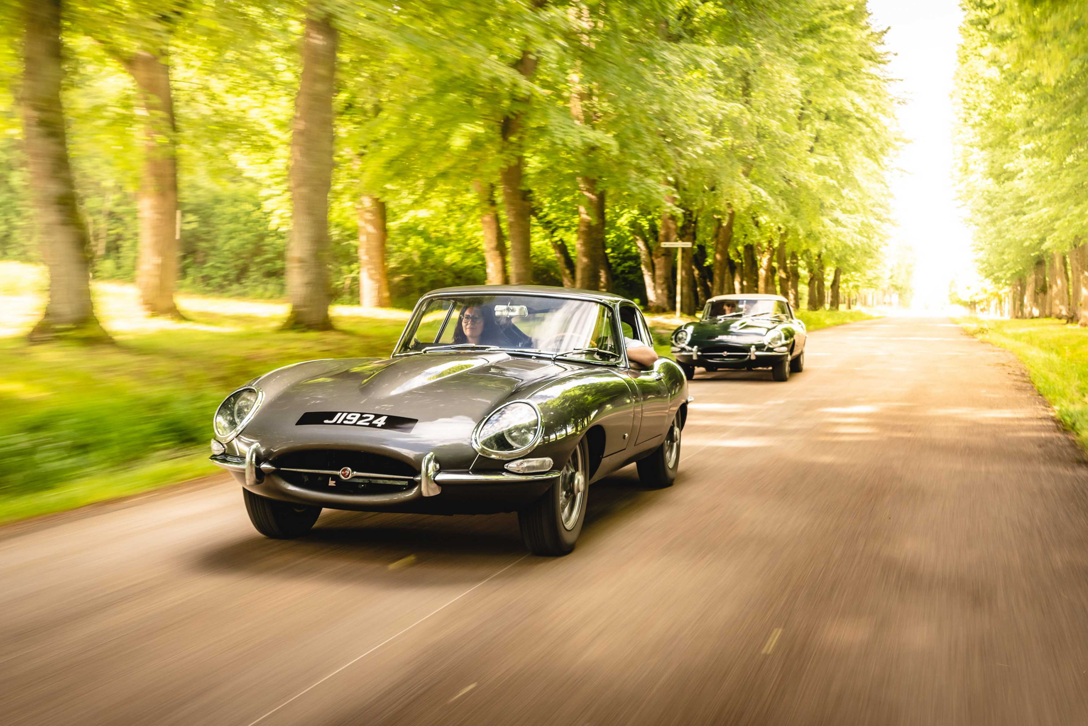 Jaguar Edition 60 (3).JPG