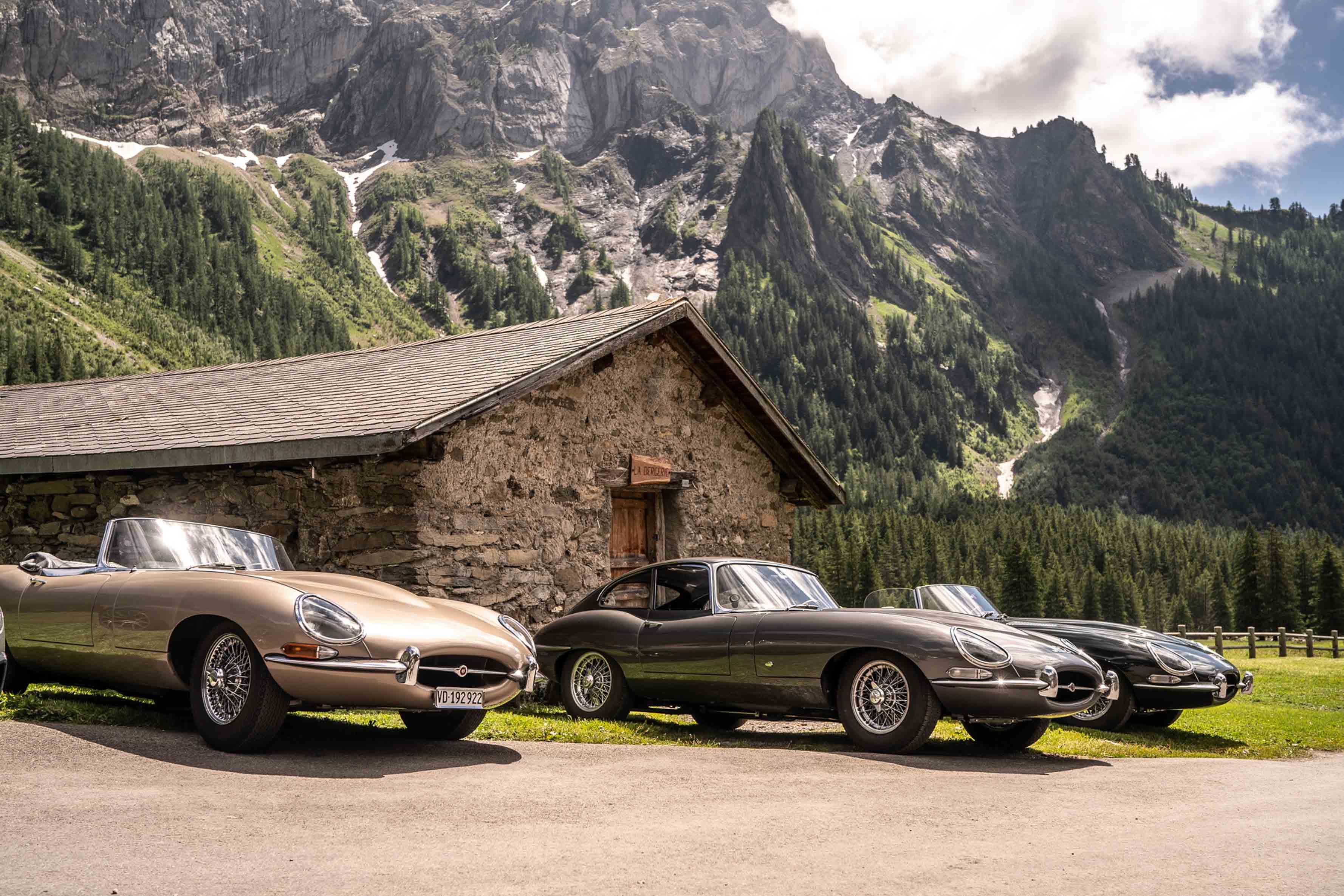 Jaguar Edition 60 (4).JPG