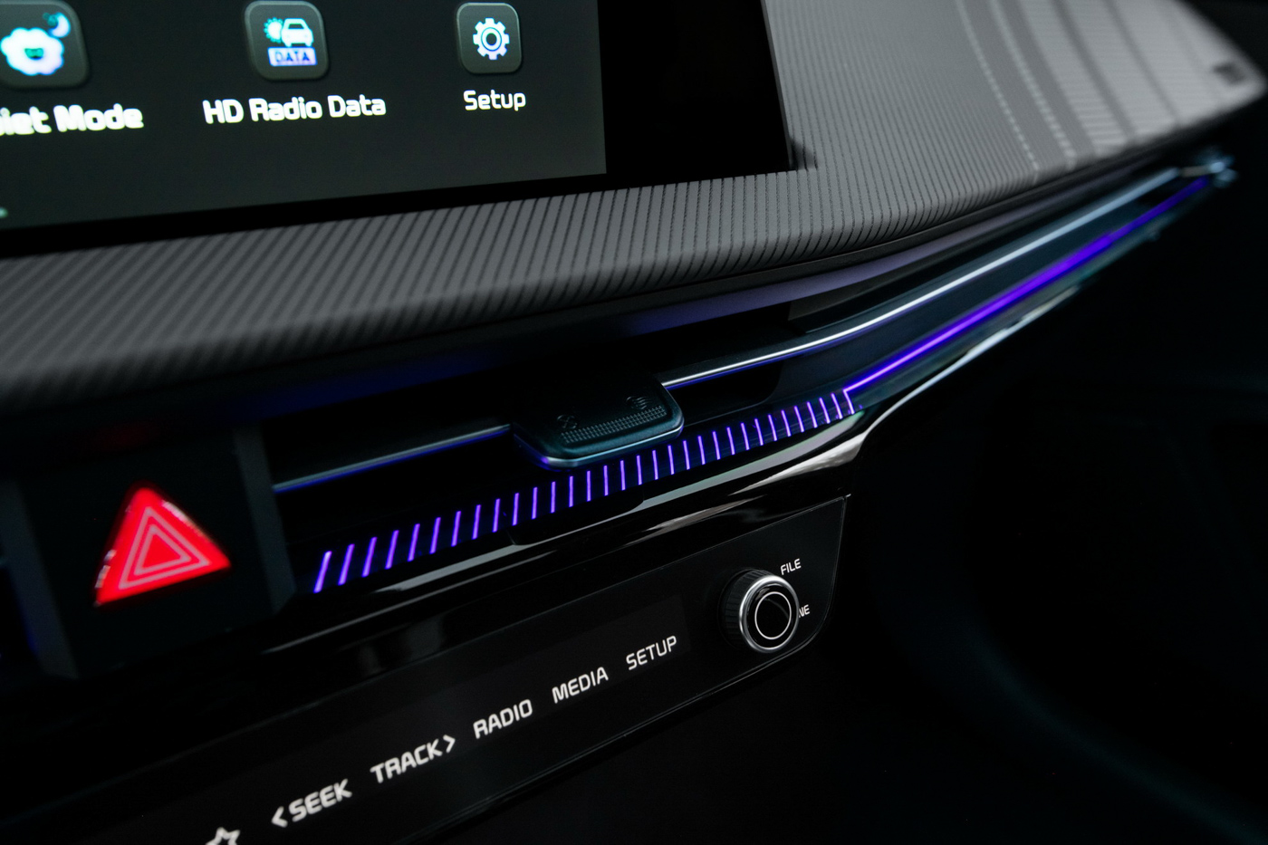 KIA EV6 (5).JPG