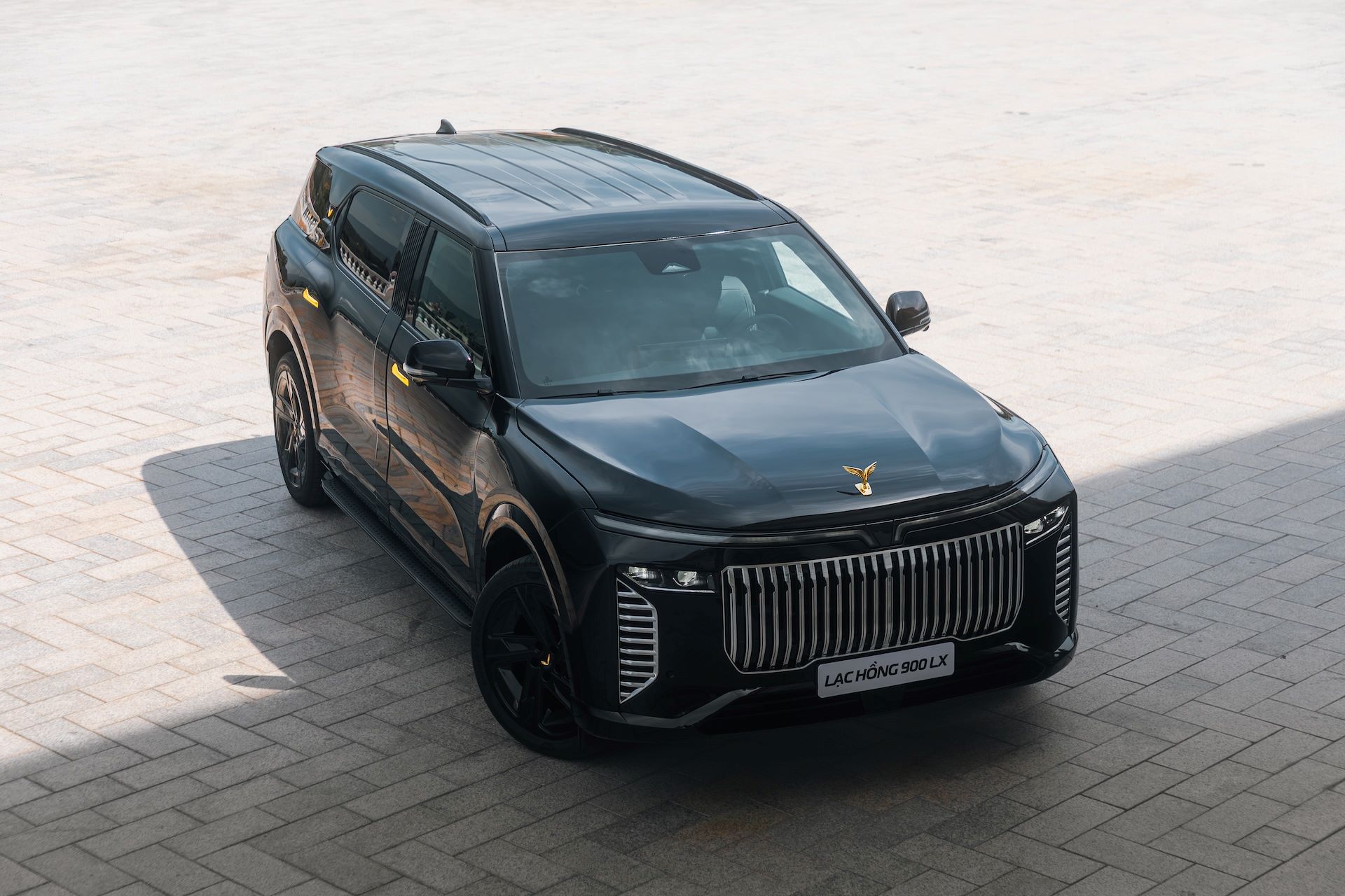 Lac-hong-900-LX-anh-1.jpg