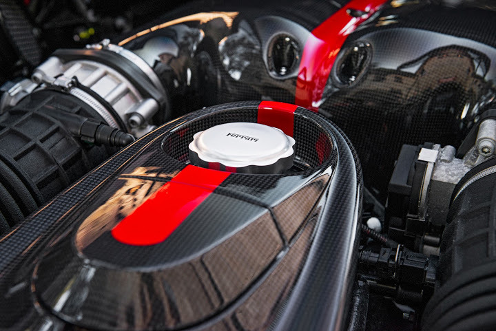 Laferrari alligator interior (18).jpg