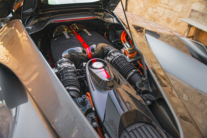 Laferrari alligator interior (19).jpg