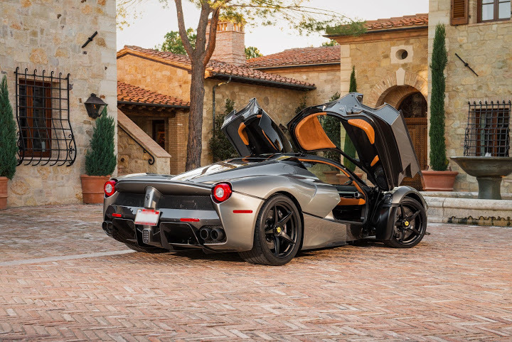 Laferrari alligator interior (20).jpg